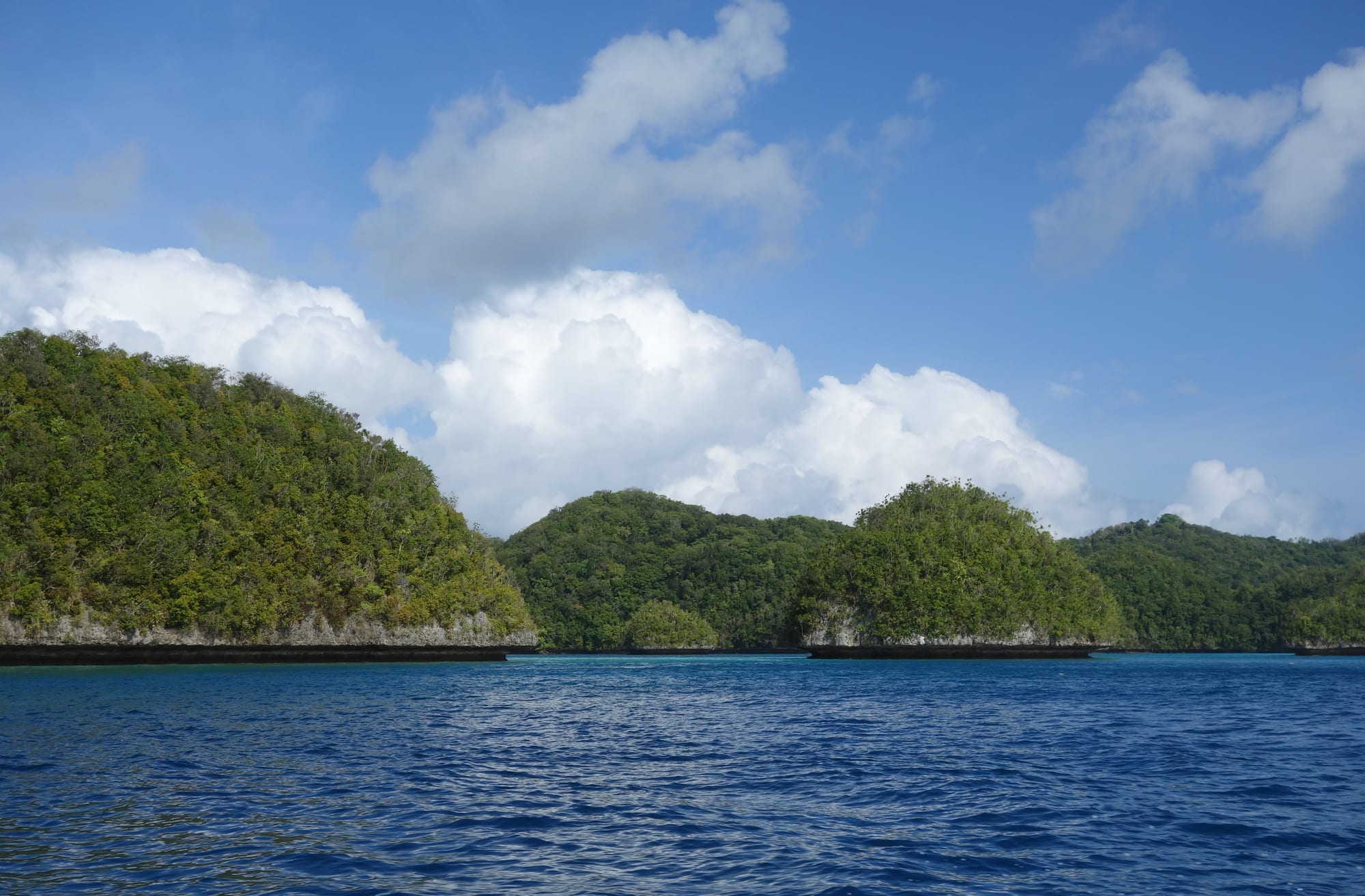 Hundreds of small mushroom-shaped green islands scattered across a turquoise lagoon