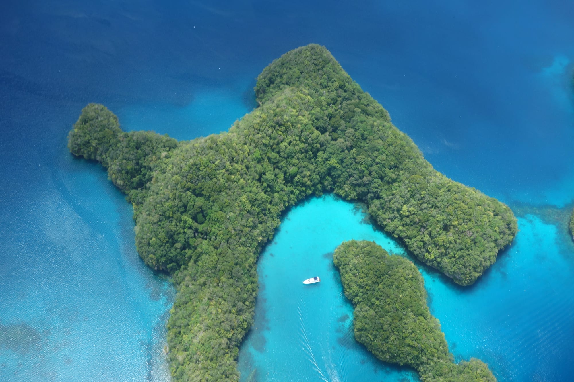 An aerial view of dozens of round, jungle-covered limestone islands scattered across turquoise lagoons