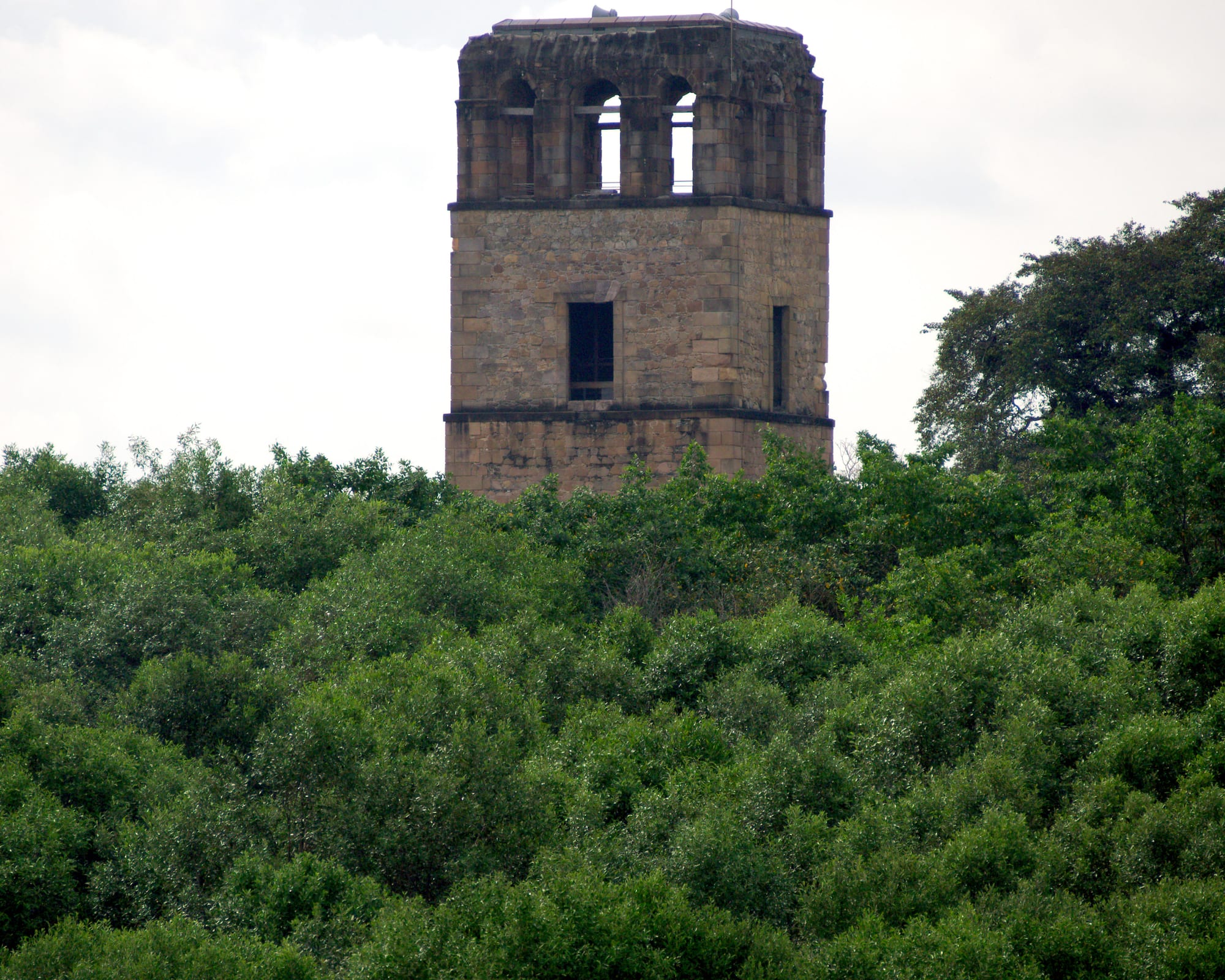 A ruined stone cathedral tower rising above dense green vegetation