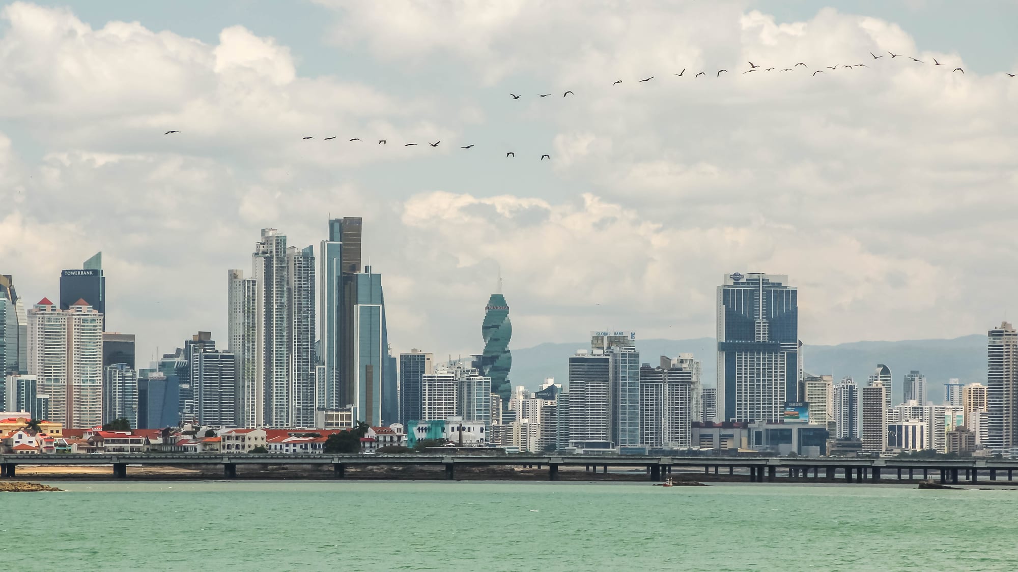 A dense modern skyline of high-rise towers along a curving bay with birds flying overhead