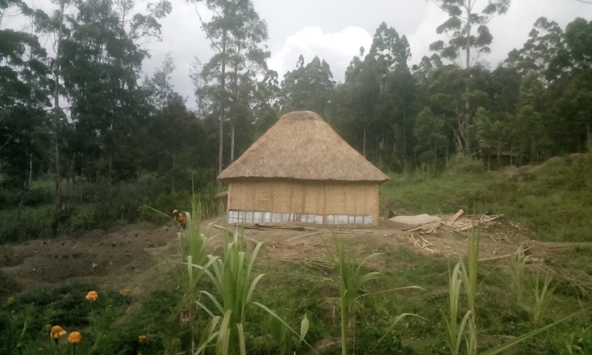 A round house with a thick thatched roof in a highland clearing, with a cleared vegetable garden and a person working in the foreground