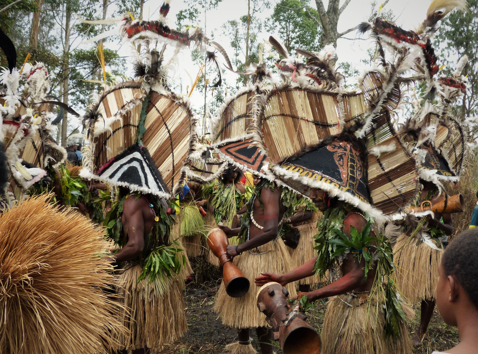 Highland dancers in elaborate feather headdresses and body paint at a sing-sing festival in Mount Hagen