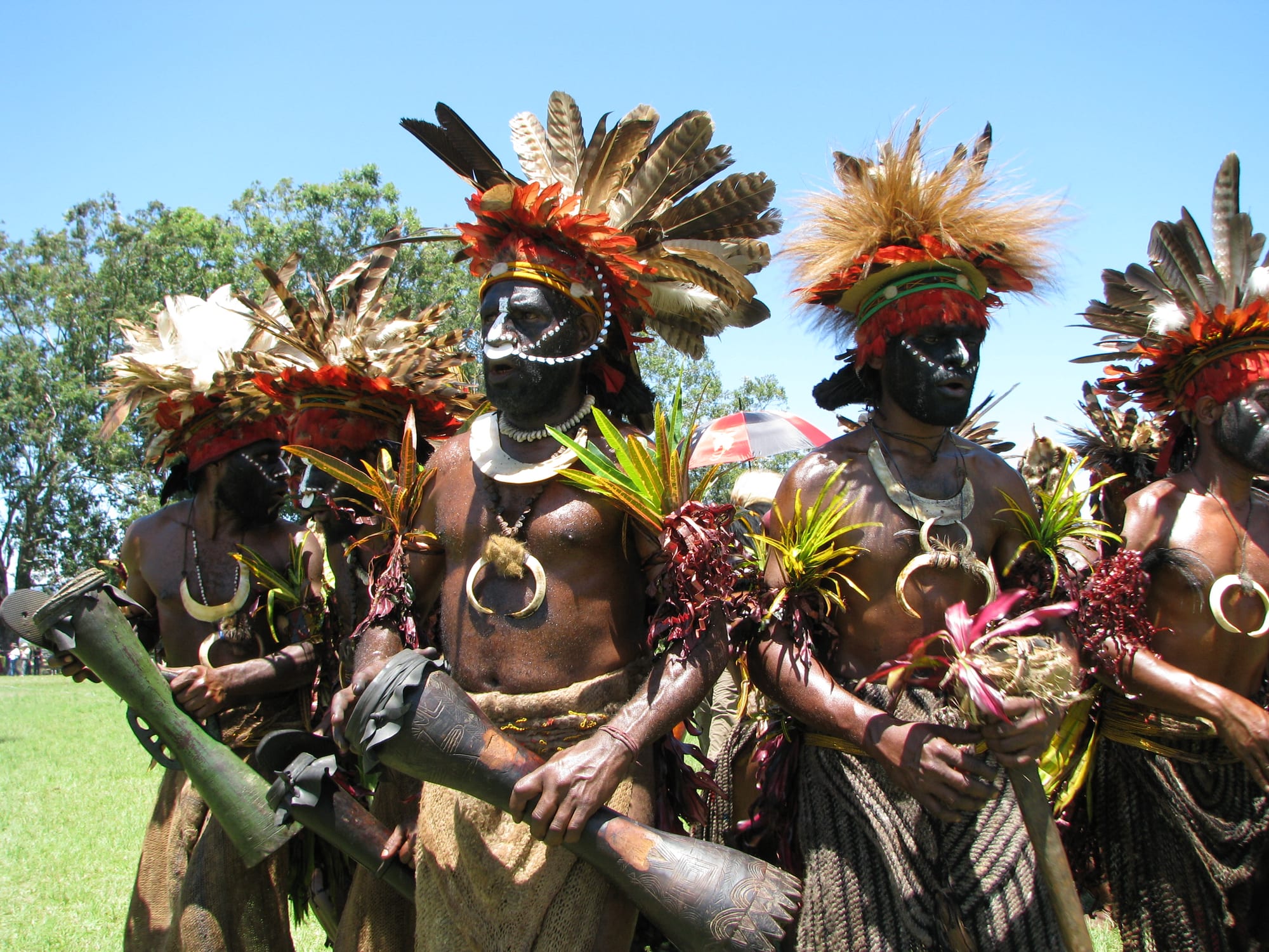 A line of men with blackened faces, tall feathered headdresses, crescent shell ornaments and bundles of leaves walk together across a grassy field, several of them carrying long carved wooden drums