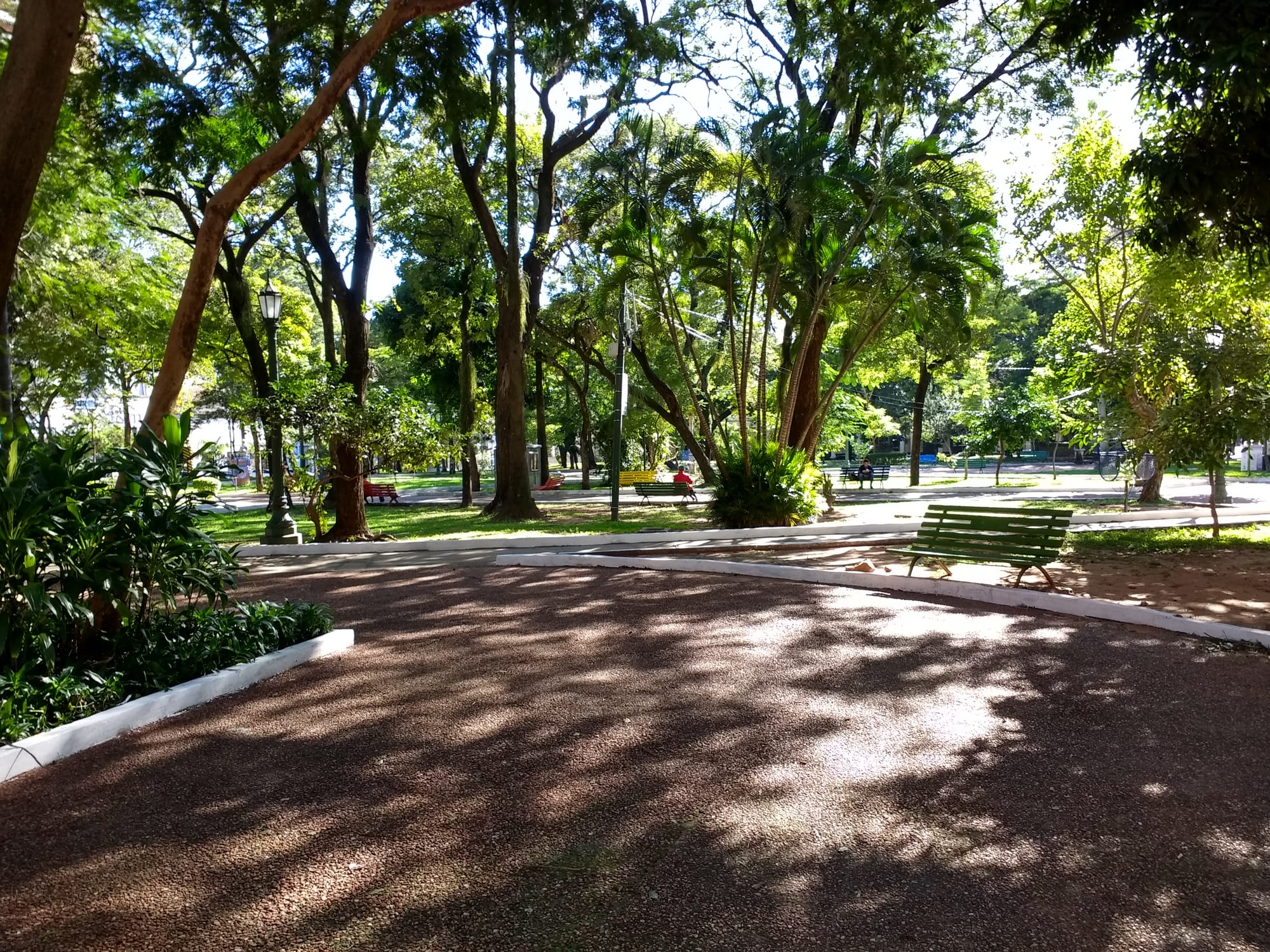 A shaded, tree-lined path through Plaza Uruguaya park in Asunción, with benches and dappled sunlight