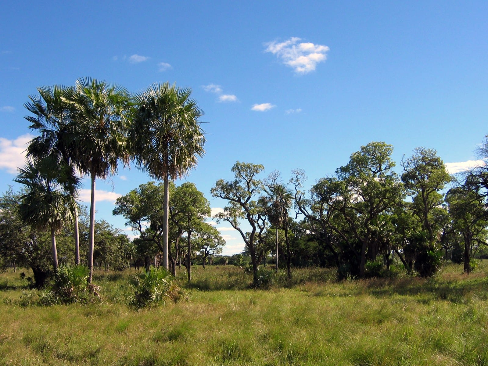 A flat, arid scrubland landscape stretching to the horizon