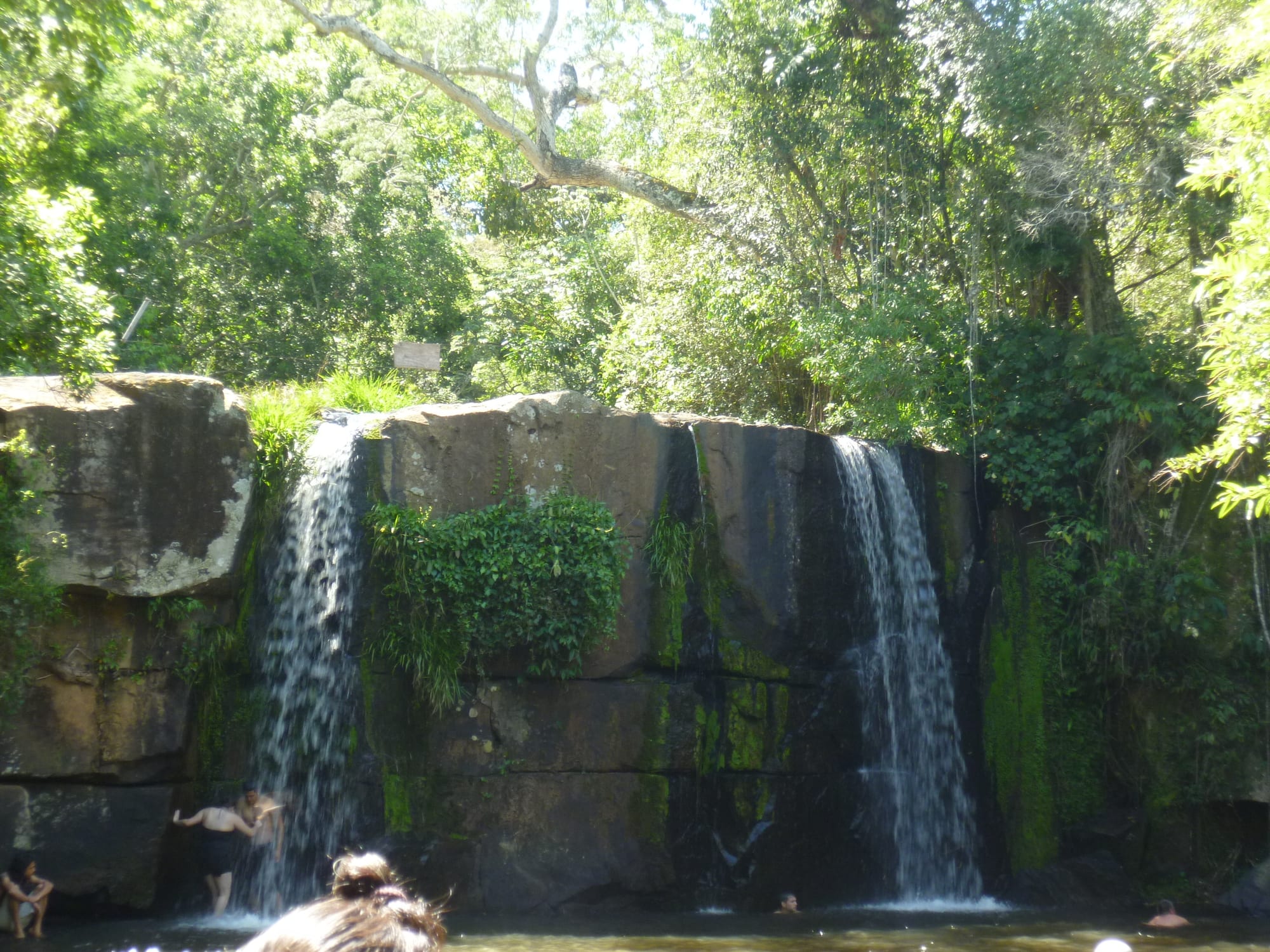 A forest waterfall cascading over rocks into a pool