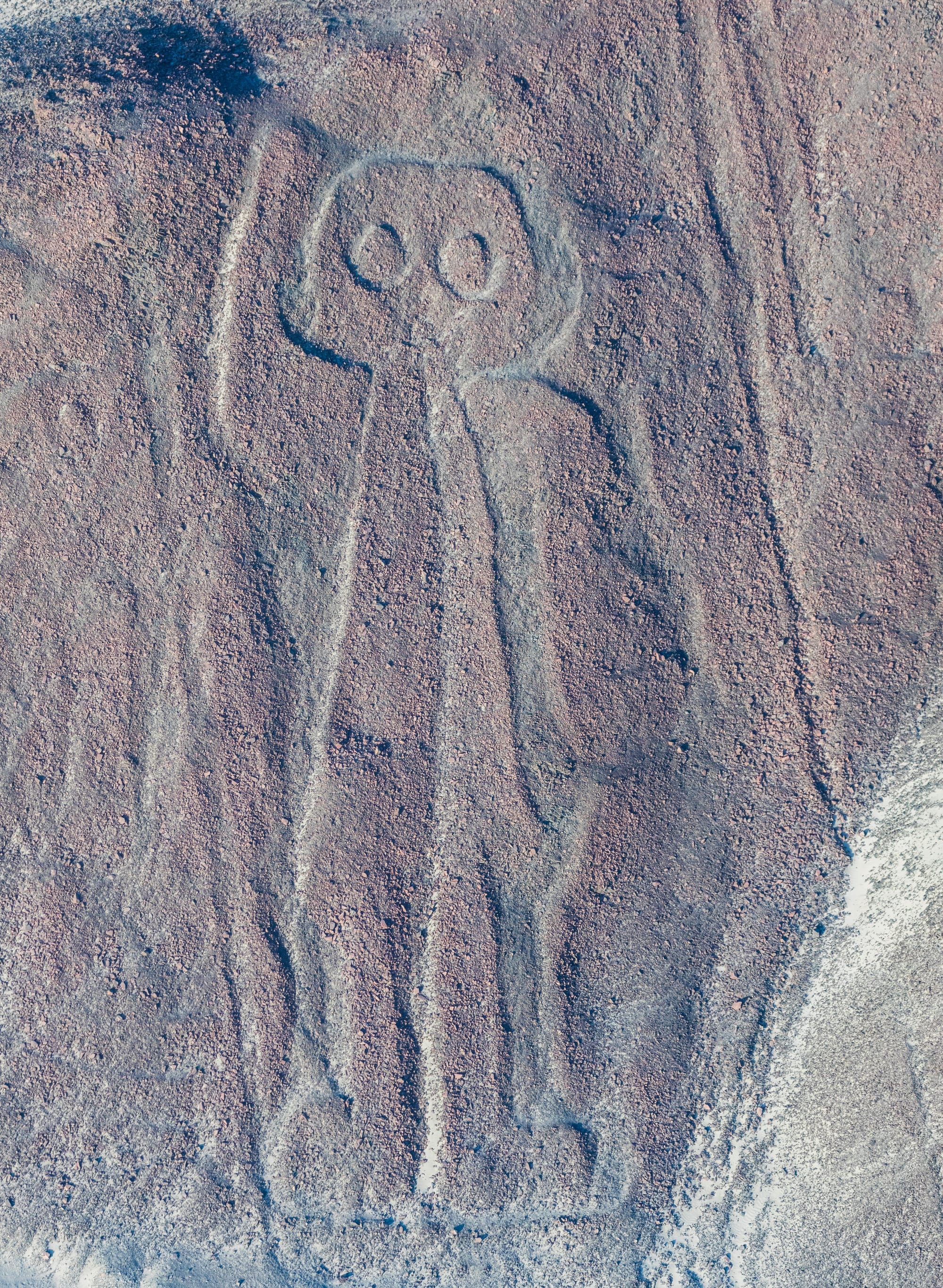 Aerial view of large geometric and animal-shaped lines etched into a desert plain