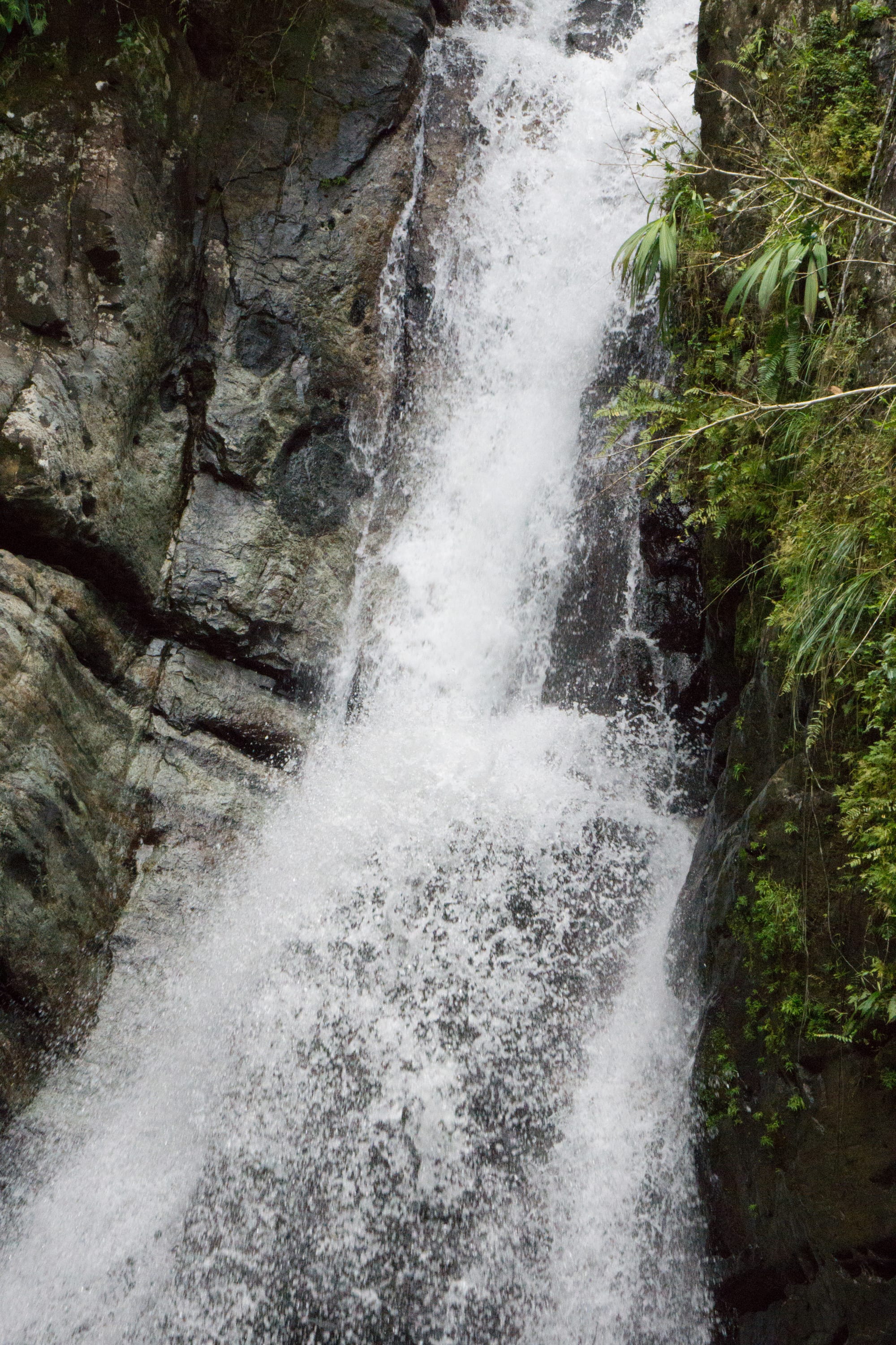 A powerful waterfall crashing down a rocky cliff in dense rainforest