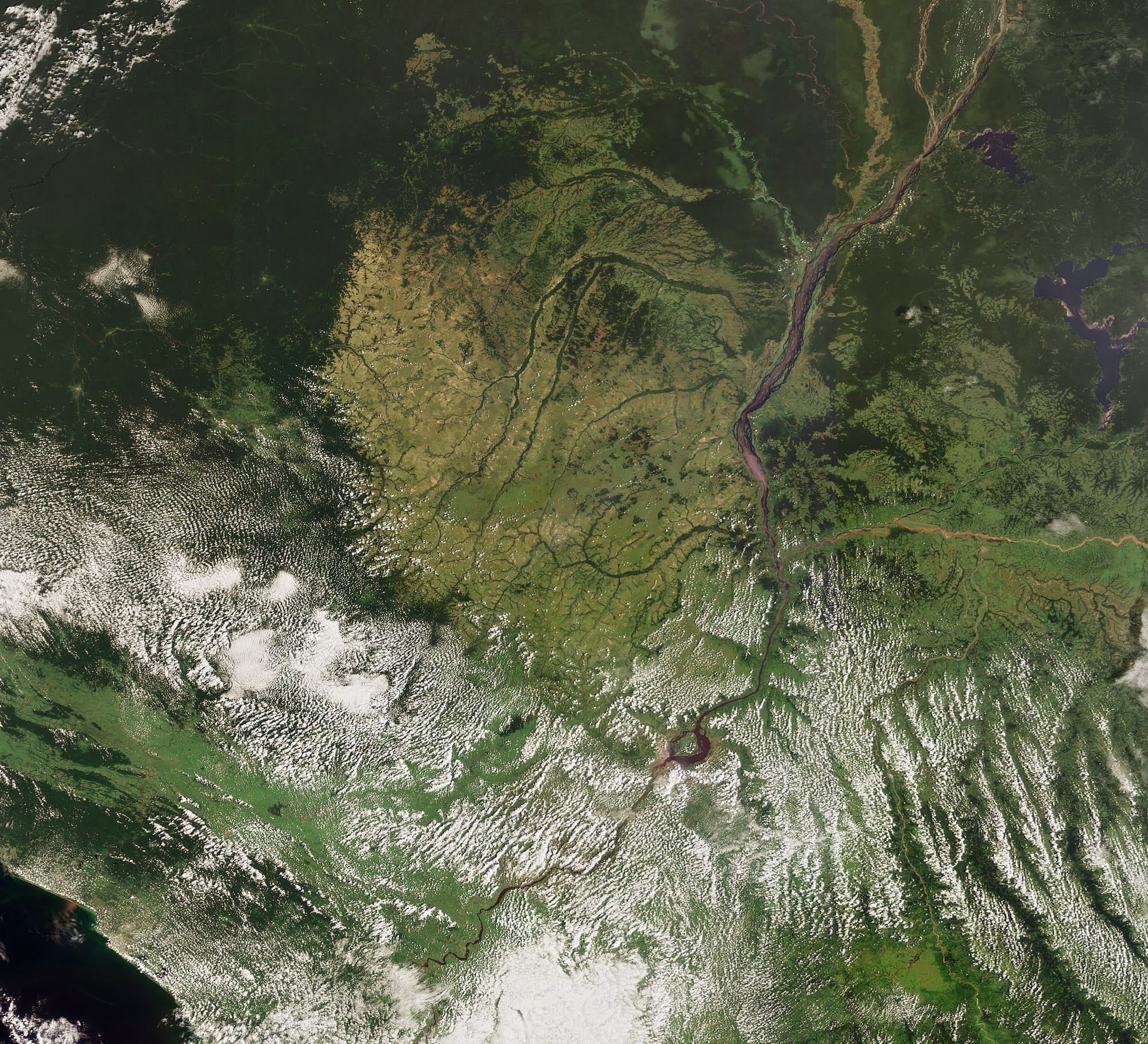A satellite view of a vast river system winding through dense green rainforest
