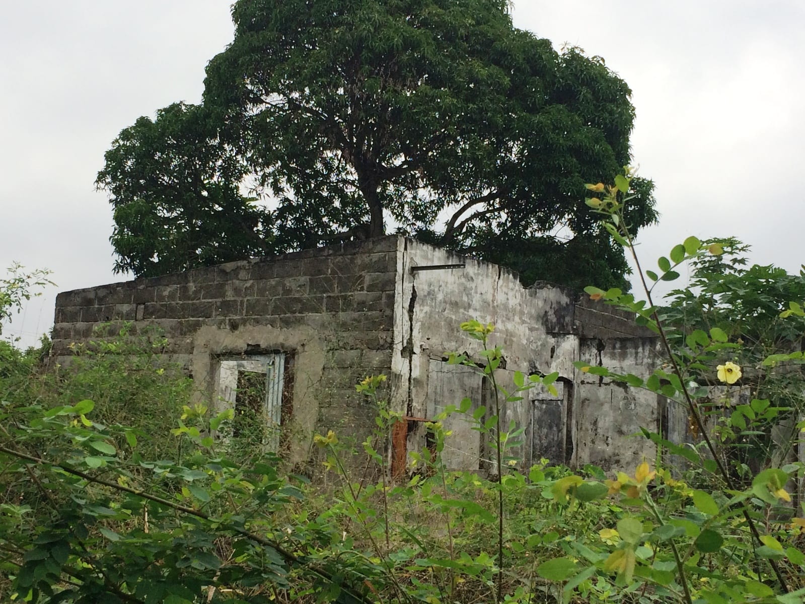 A bullet-scarred, roofless house in a Brazzaville neighbourhood, still damaged decades later