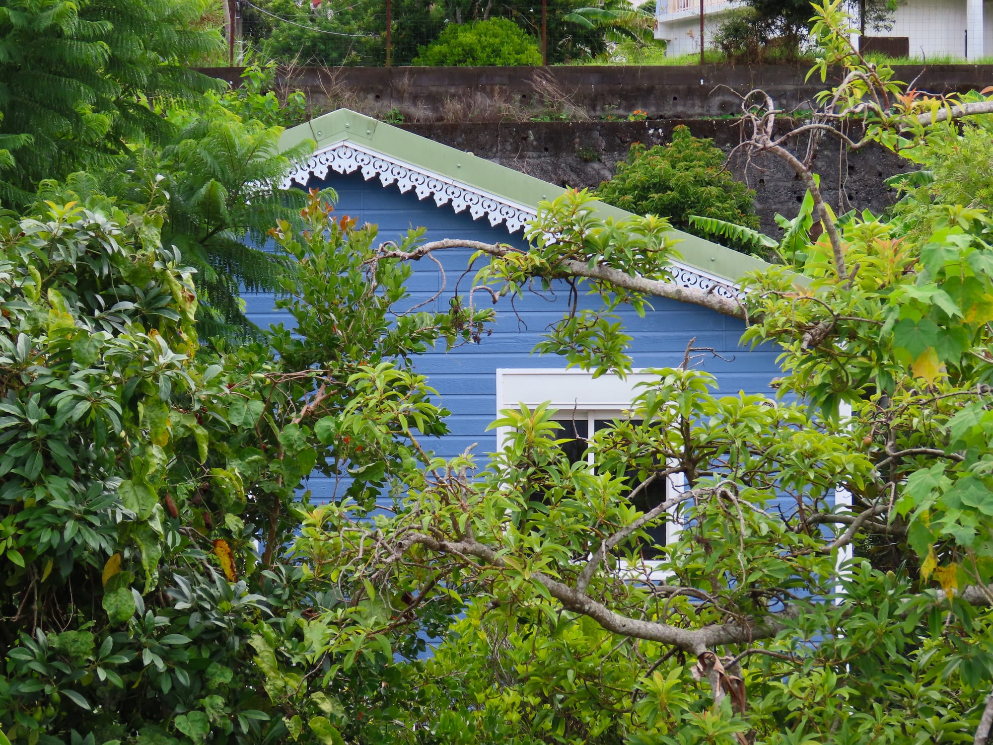 A blue wooden Creole house with white decorative fretwork along the roofline, seen through surrounding greenery