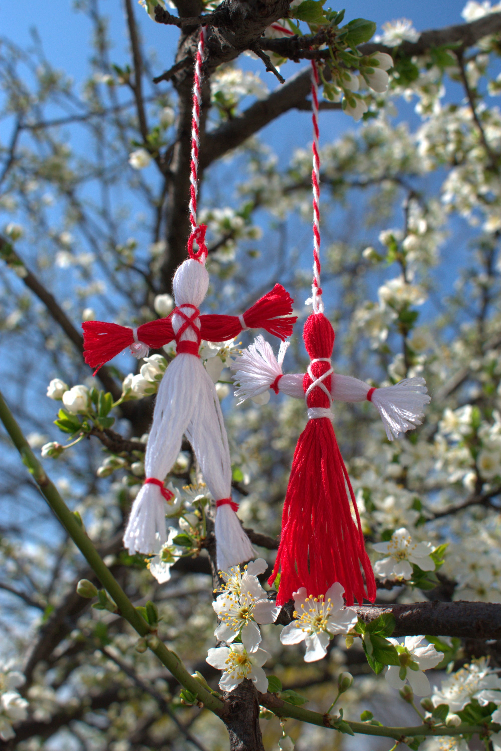 Two small red and white woollen figures hanging from a twisted red and white string on a branch covered in white blossom against a blue sky