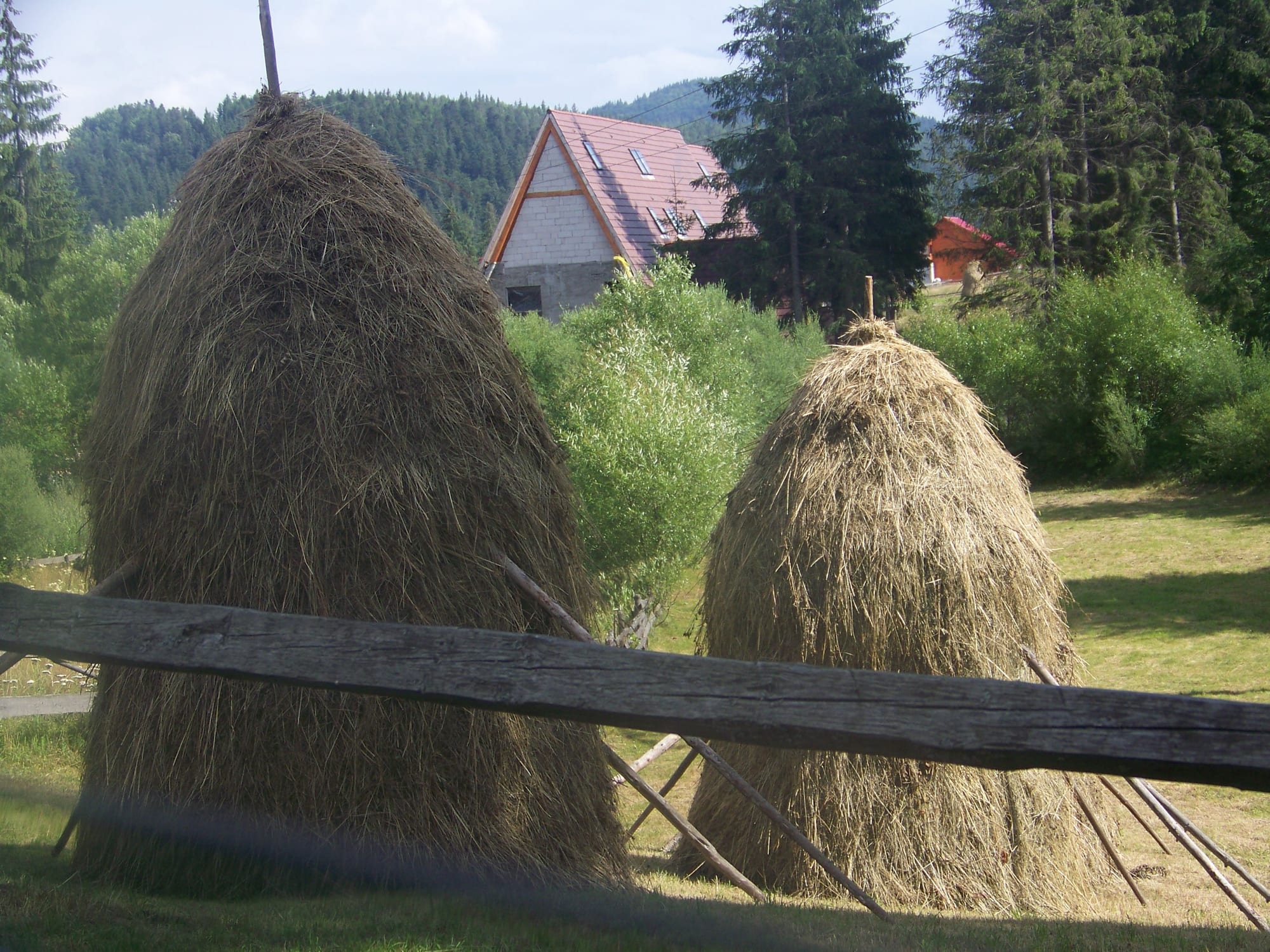 Two traditional haystacks in a mountain meadow with a house and forested hills behind