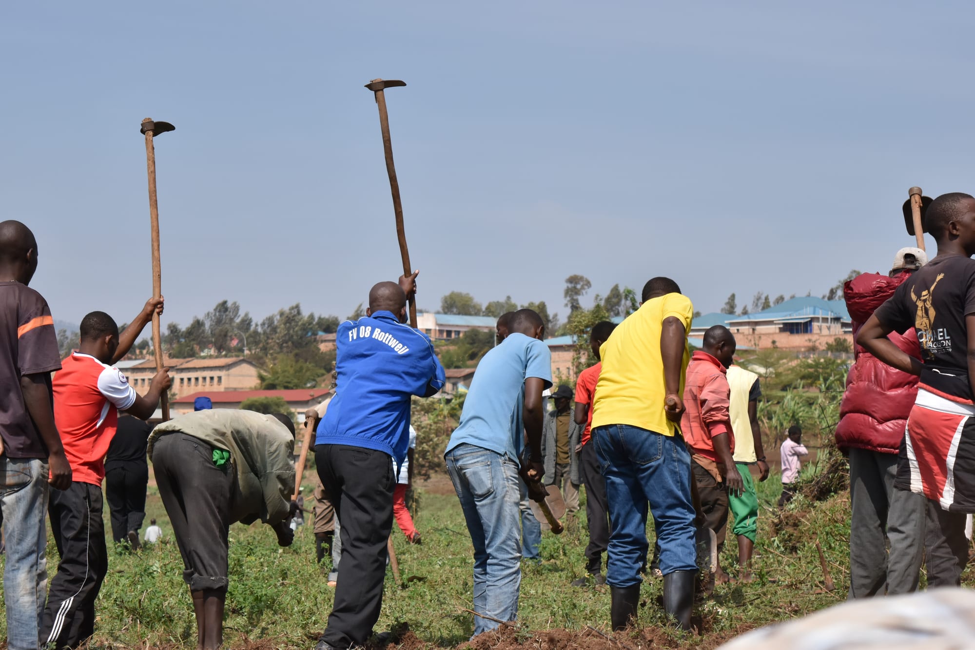 A large group of people working a field together with hoes, houses and hills visible in the background