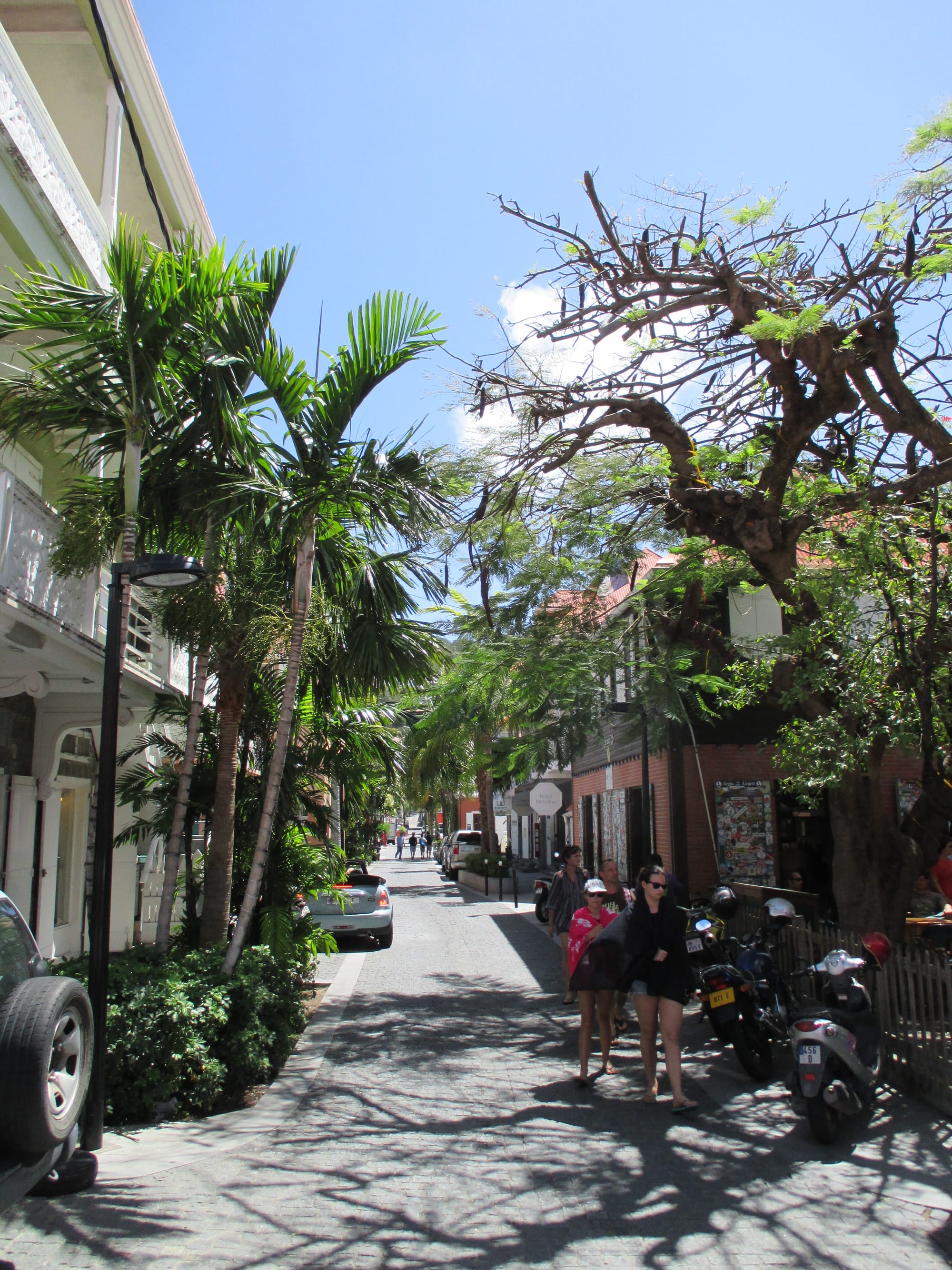 A palm-lined street in Gustavia with parked cars, scooters and pedestrians walking past shops in the midday sun