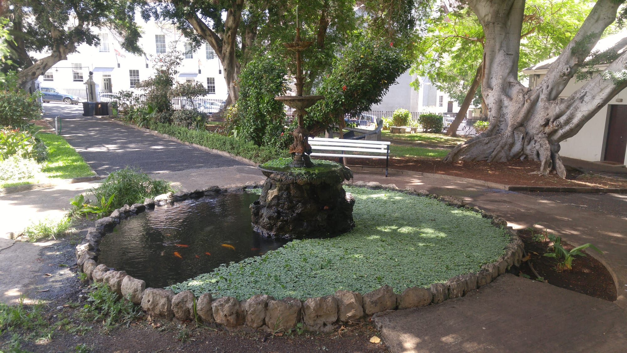 A shaded garden in Jamestown with a stone fountain, a fish pond and a white bench under large trees