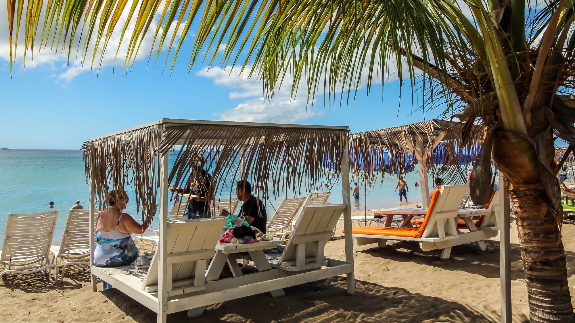 A long palm-lined beach with calm turquoise water