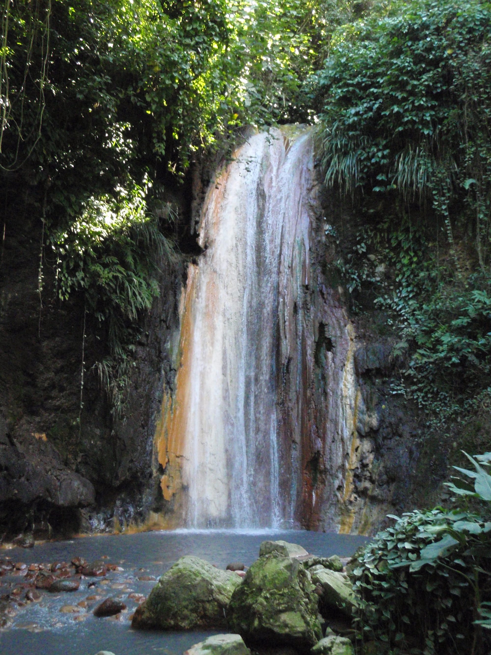 A waterfall stained yellow and orange by mineral deposits, flowing through tropical gardens