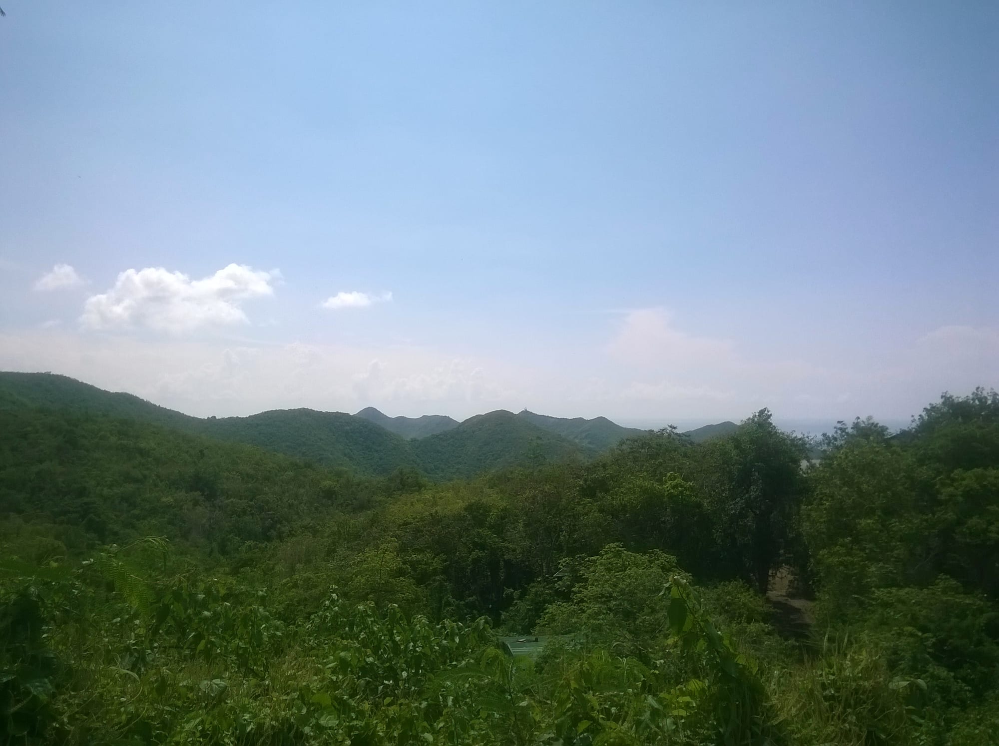 A forested hilltop viewpoint overlooking the island and surrounding sea