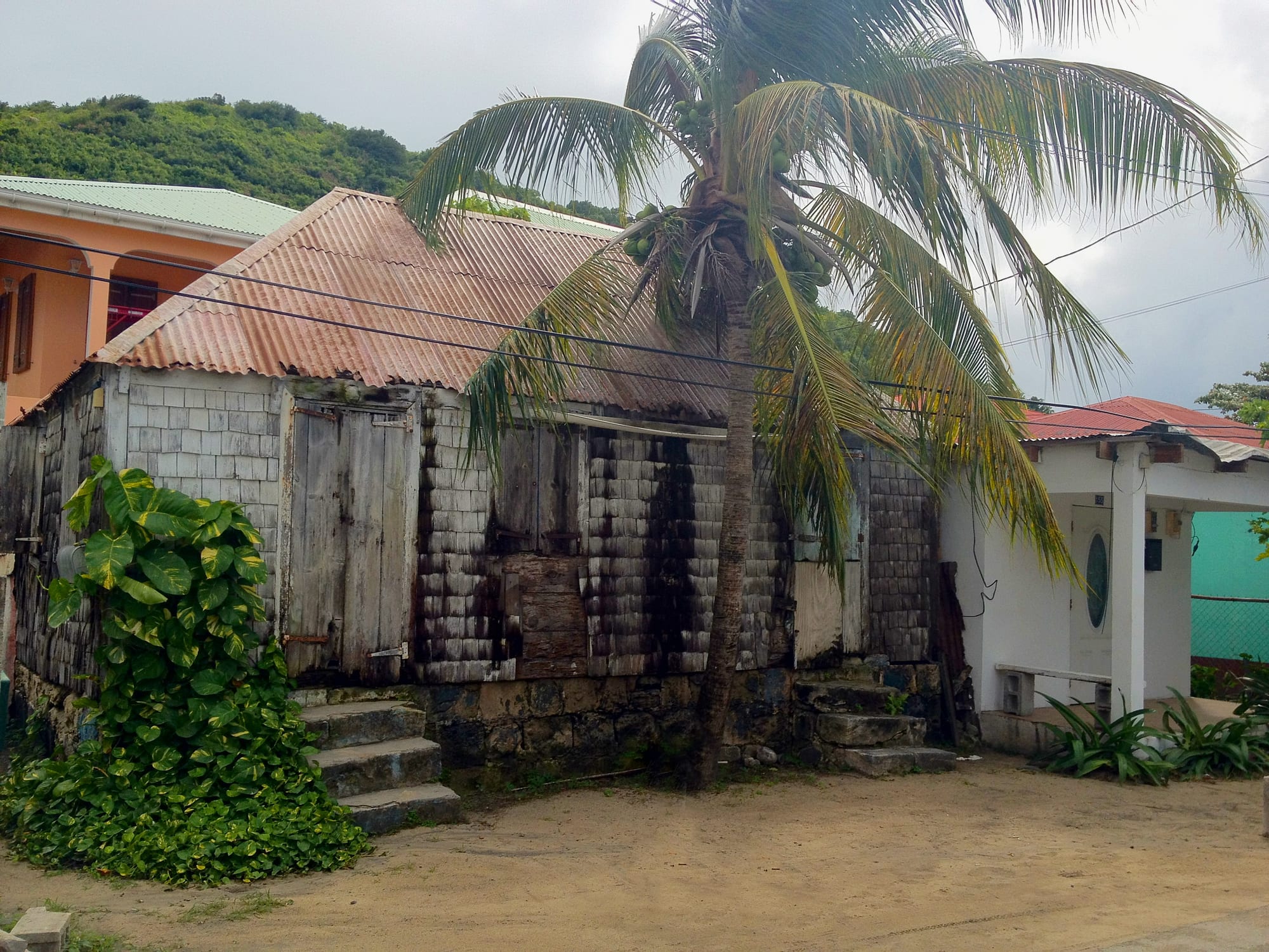 A weathered single-storey house with walls of grey wooden shingles, a rusty corrugated iron roof and wooden shutters, raised on a stone base with steps, beside a coconut palm