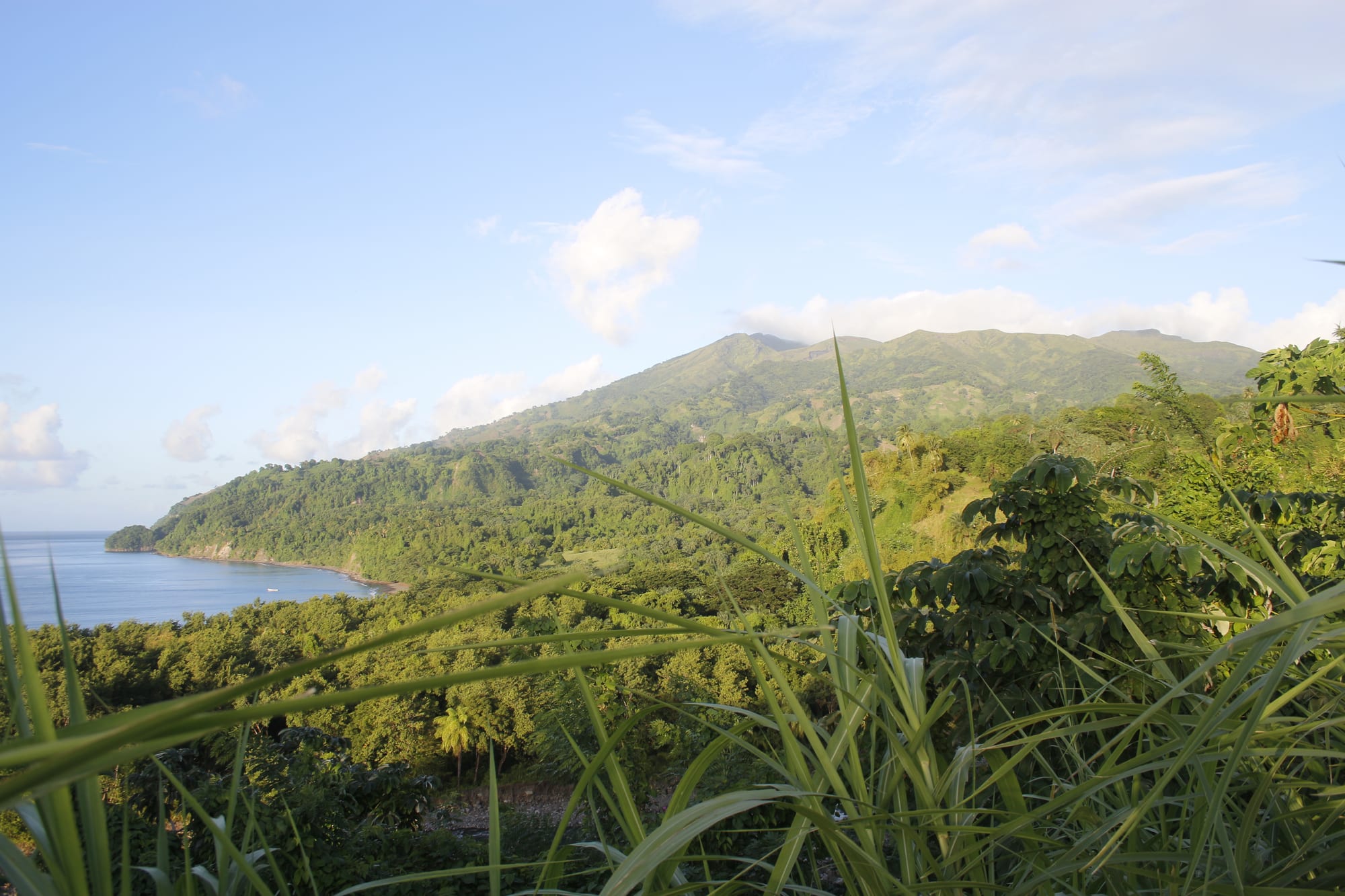 A large volcanic crater with steep vegetated walls