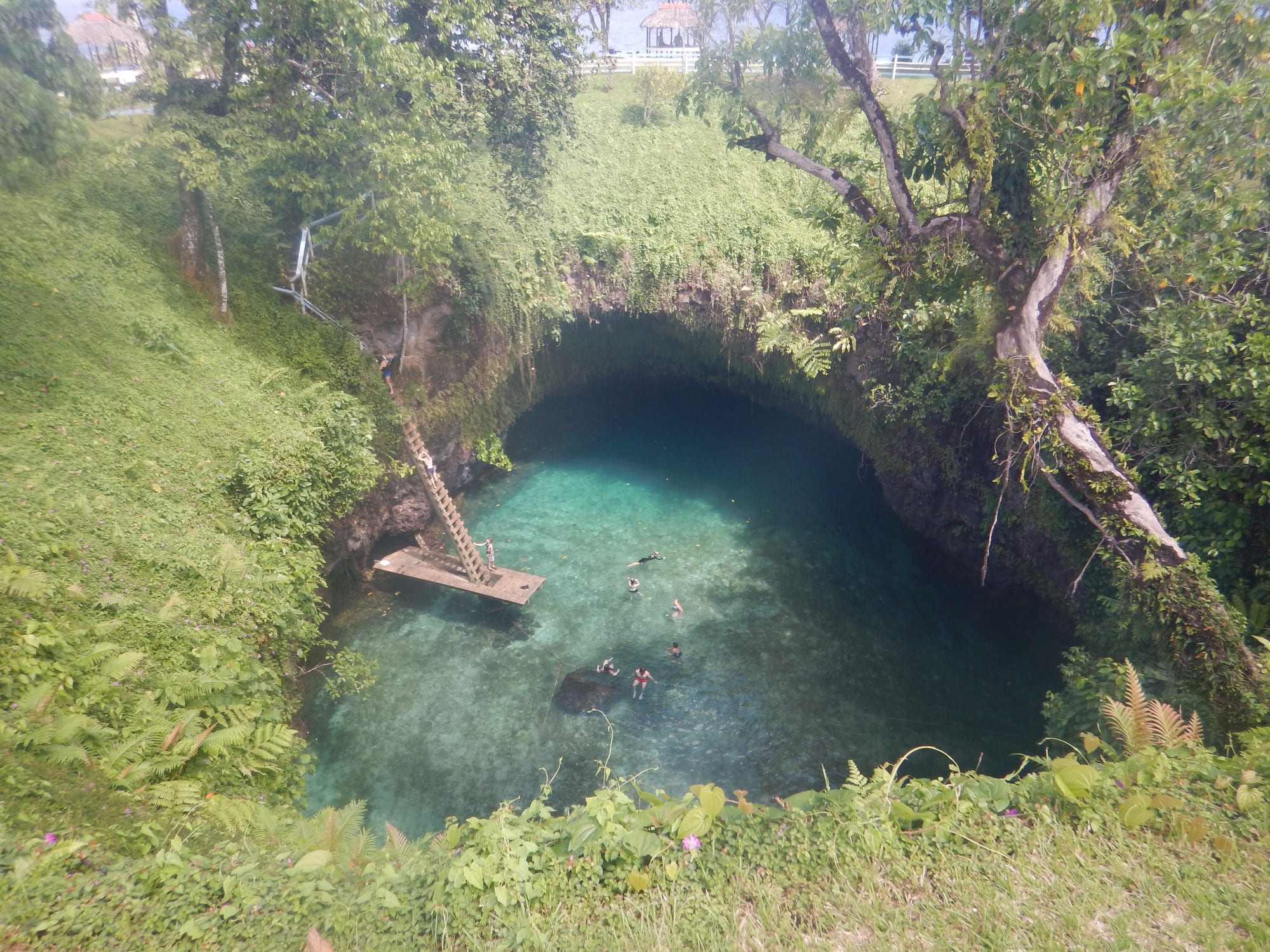 A deep, circular sinkhole filled with turquoise water surrounded by lush vegetation