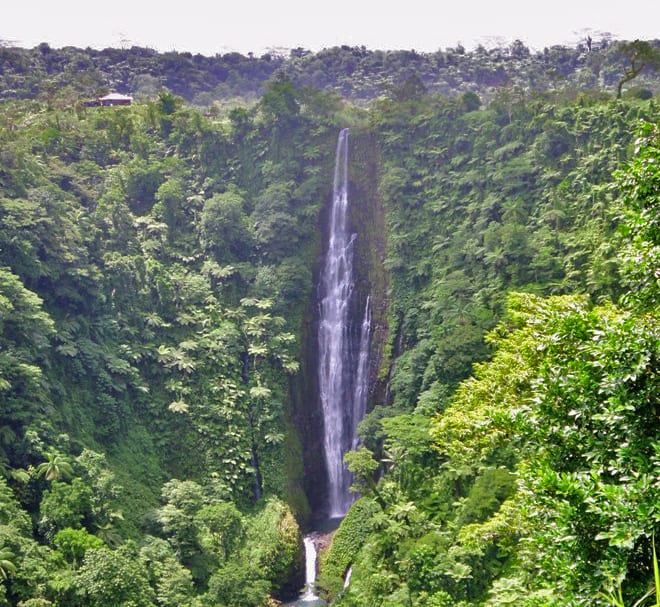 A tall waterfall dropping through dense green rainforest