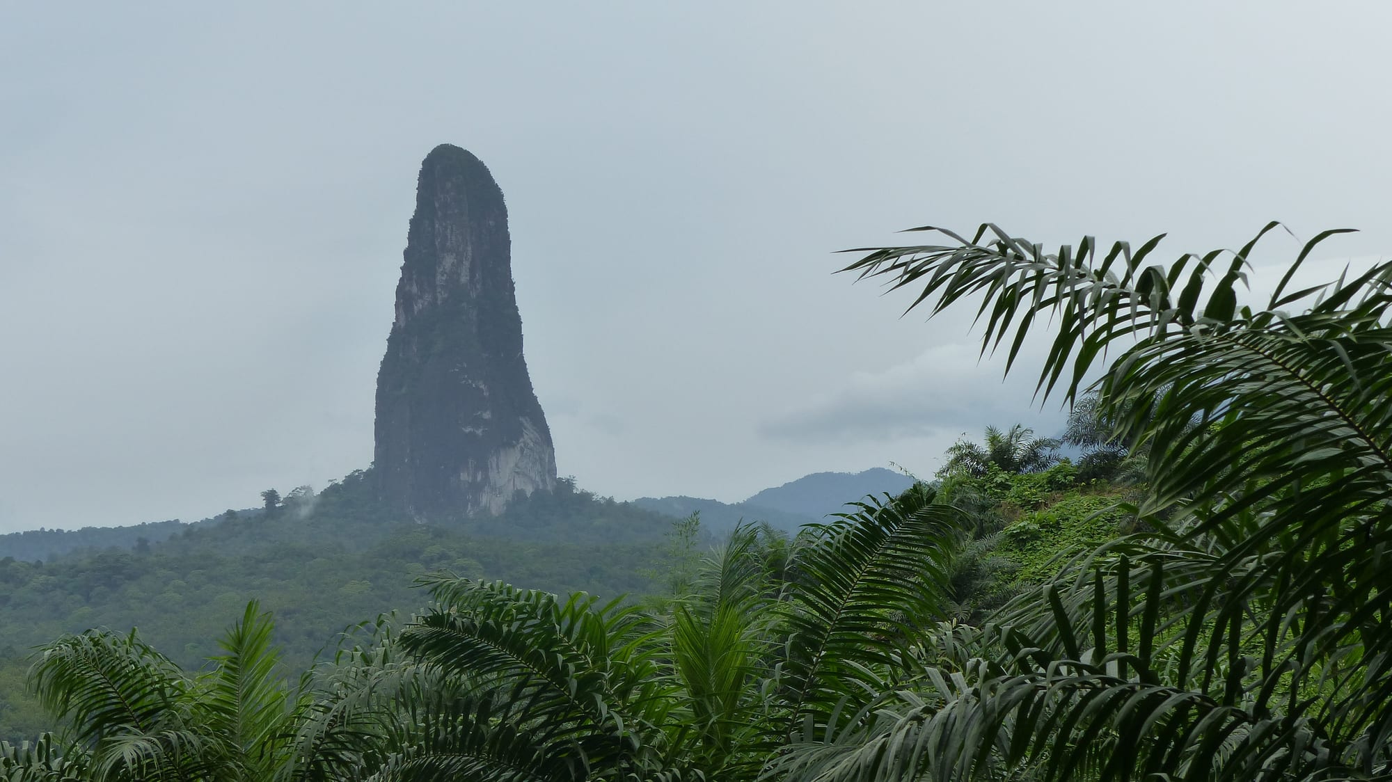 A sheer, needle-like volcanic spire rising dramatically above the forest canopy