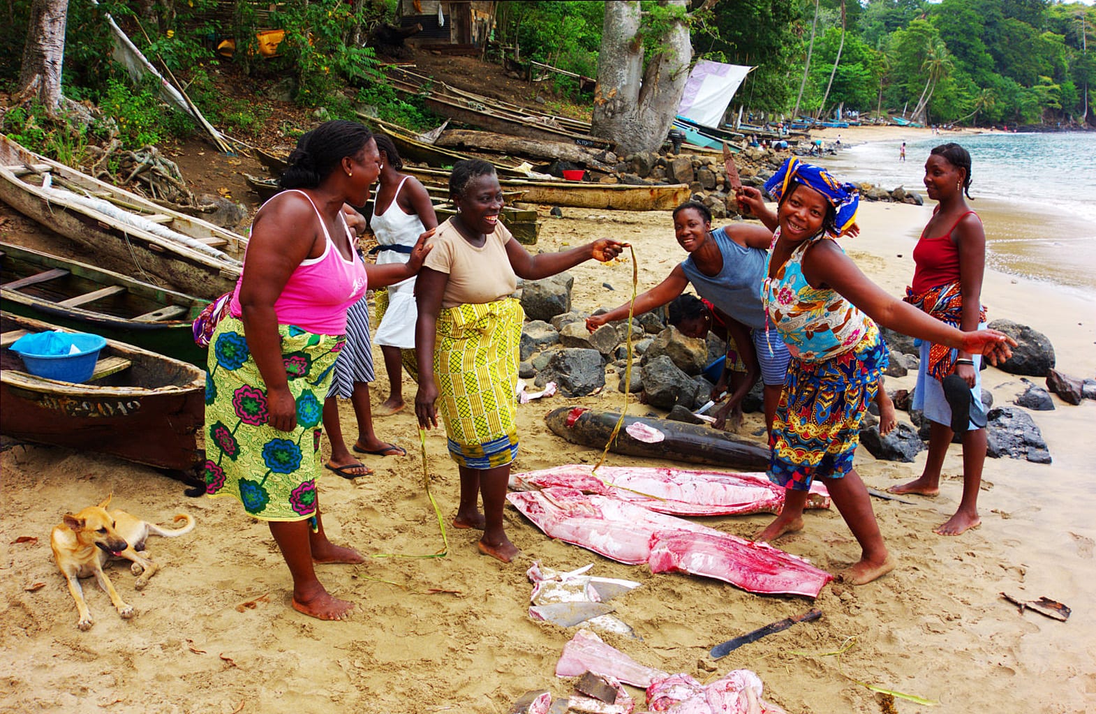 A group of women on a beach processing a large fish catch beside wooden fishing boats