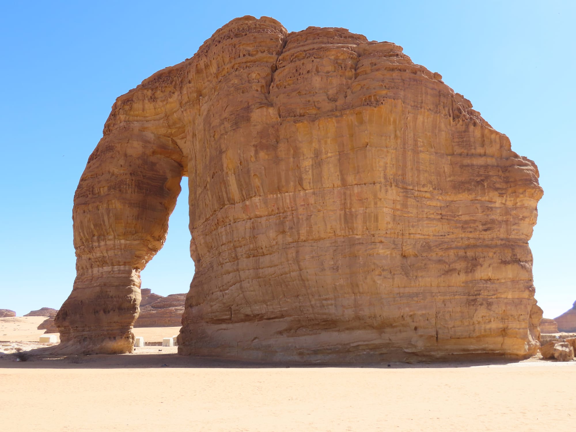 A large rock formation naturally shaped like an elephant with a raised trunk