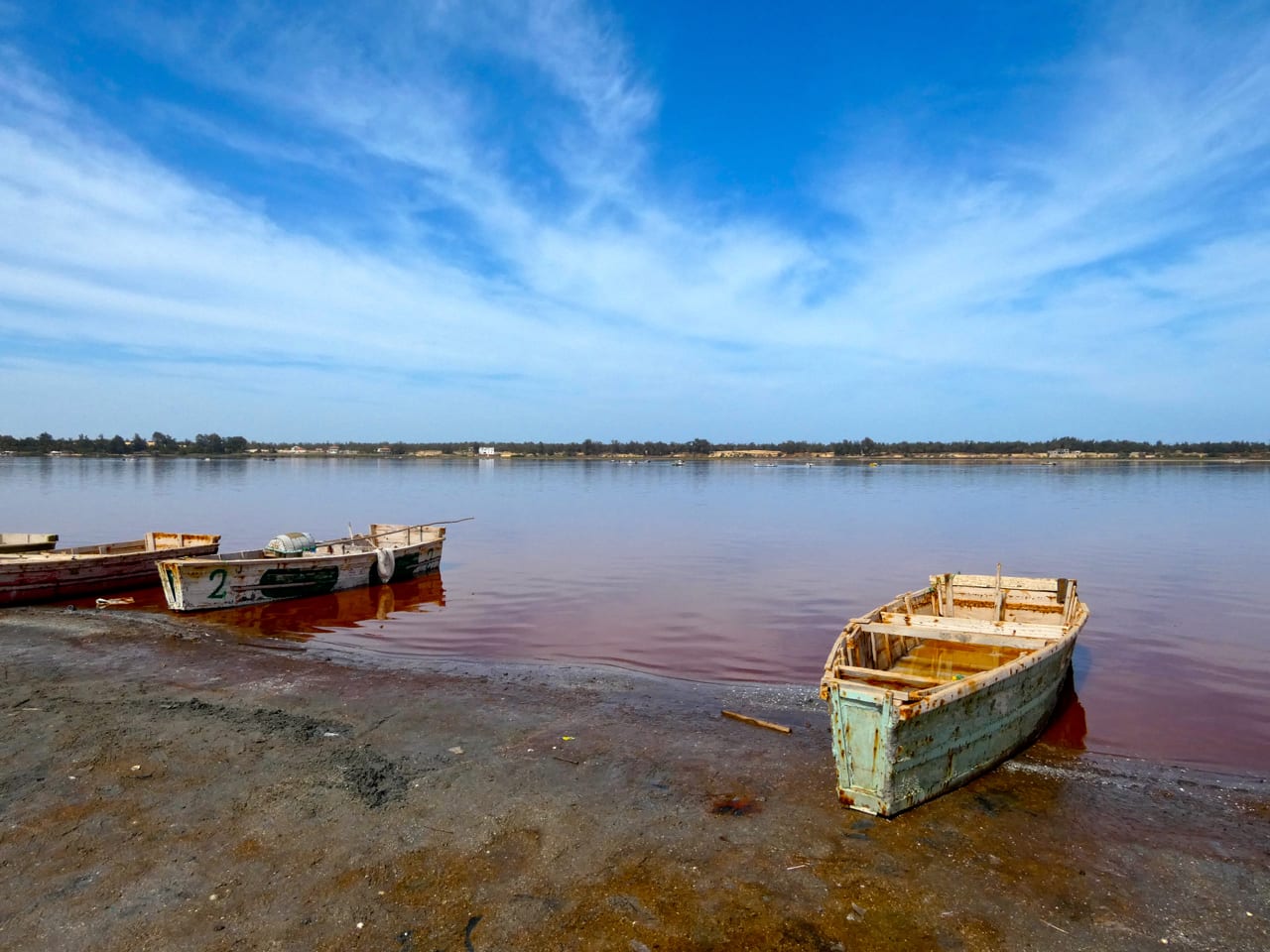 A lake with strikingly pink-coloured water beside a shoreline