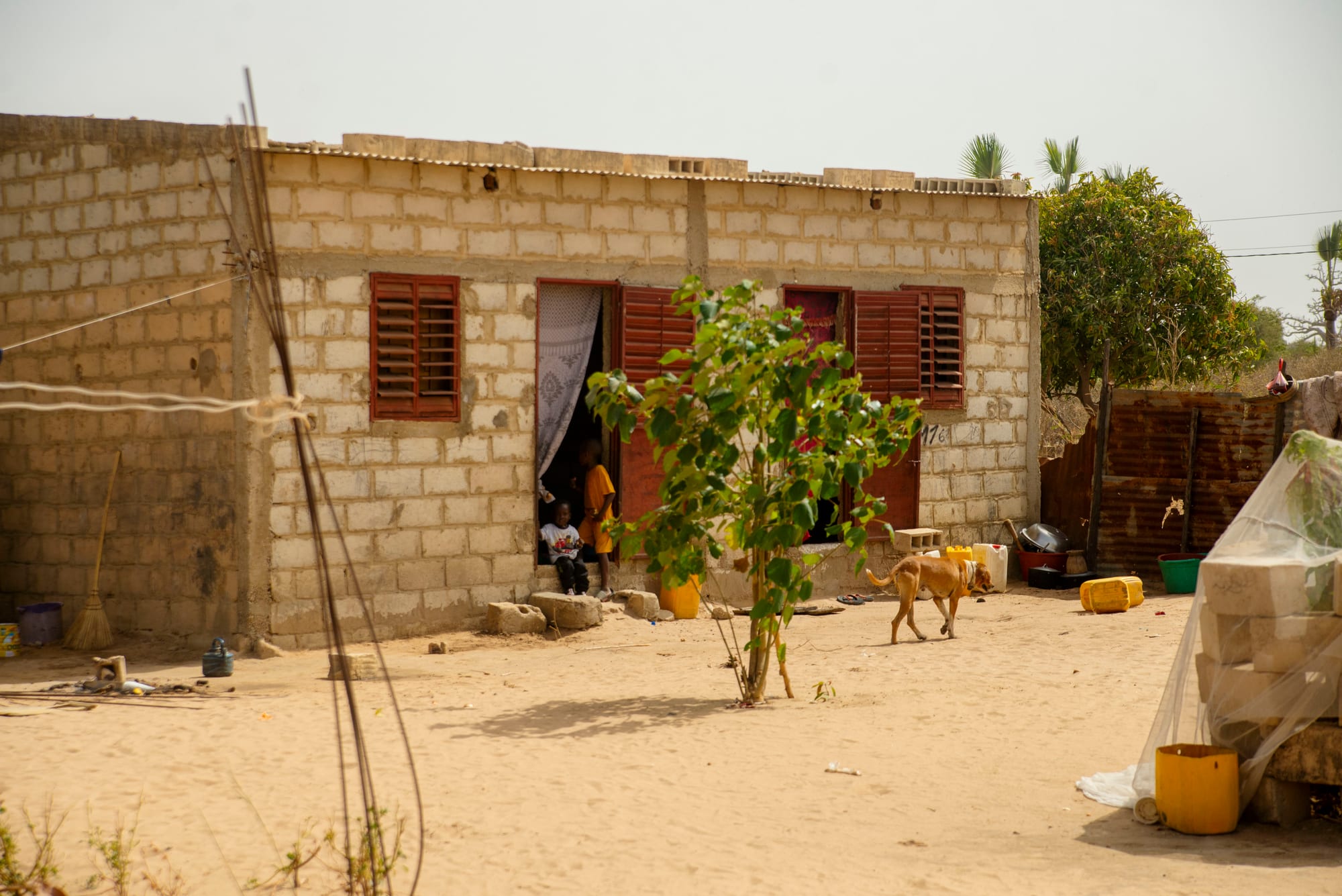 Two children sitting in the doorway of a small concrete house that opens onto a sandy household courtyard, with a dog crossing the yard
