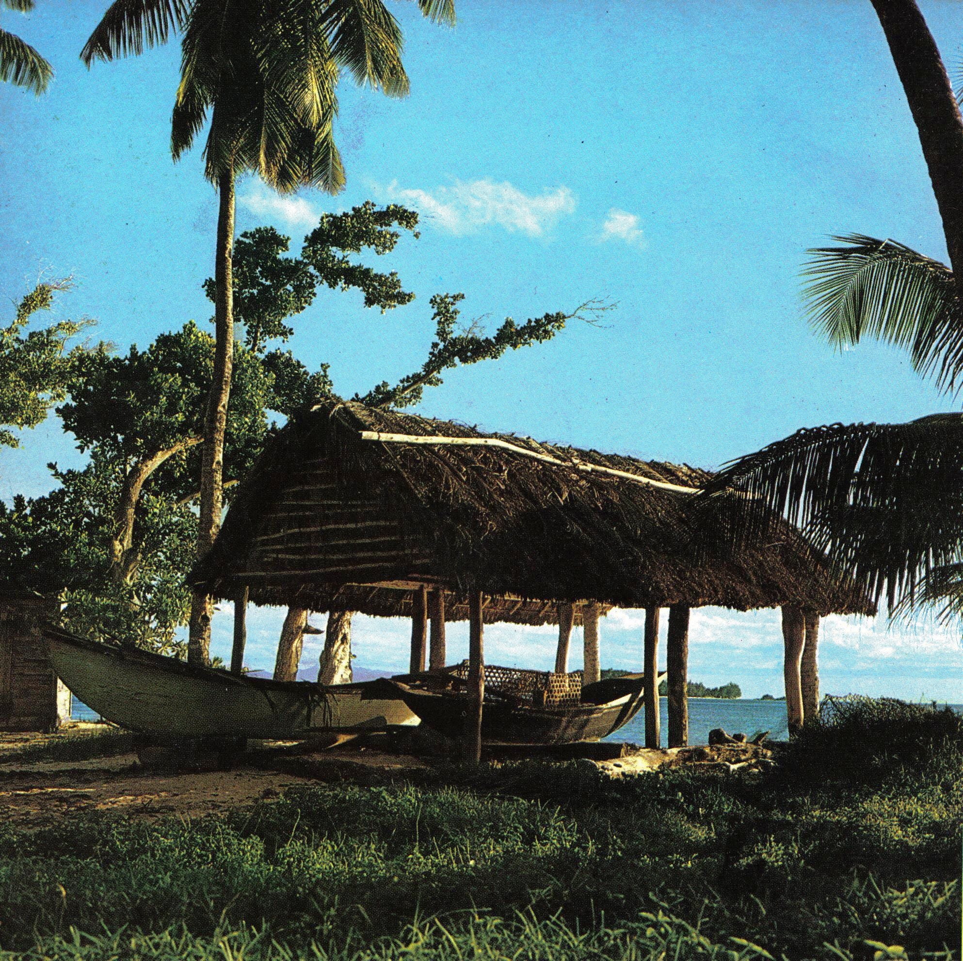 Two wooden boats resting on the ground beneath an open-sided shelter with a palm-thatched roof, beside the sea and under tall coconut palms