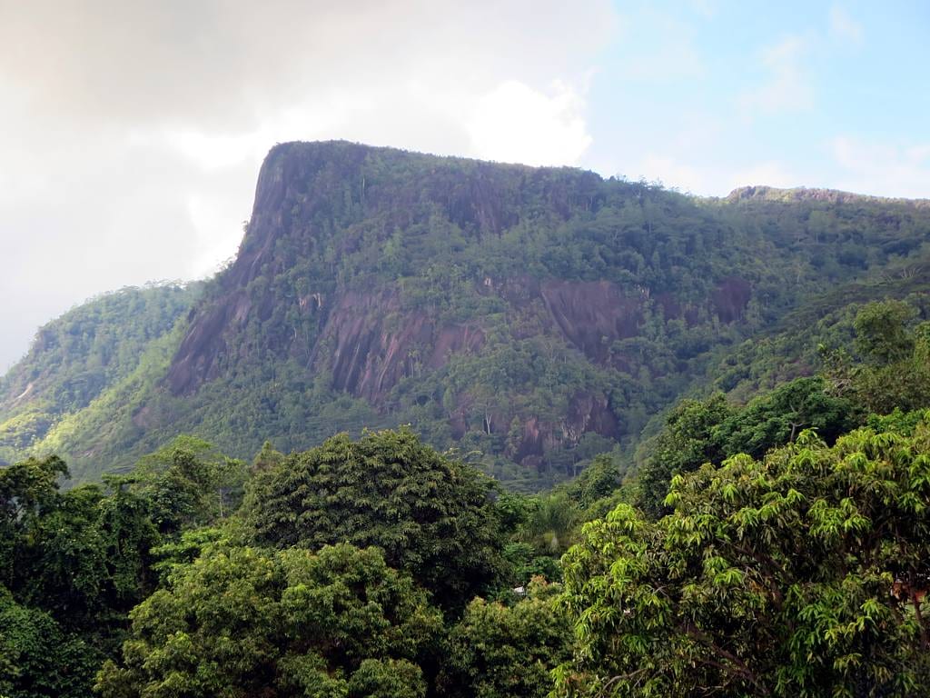 A steep granite peak covered in dense rainforest