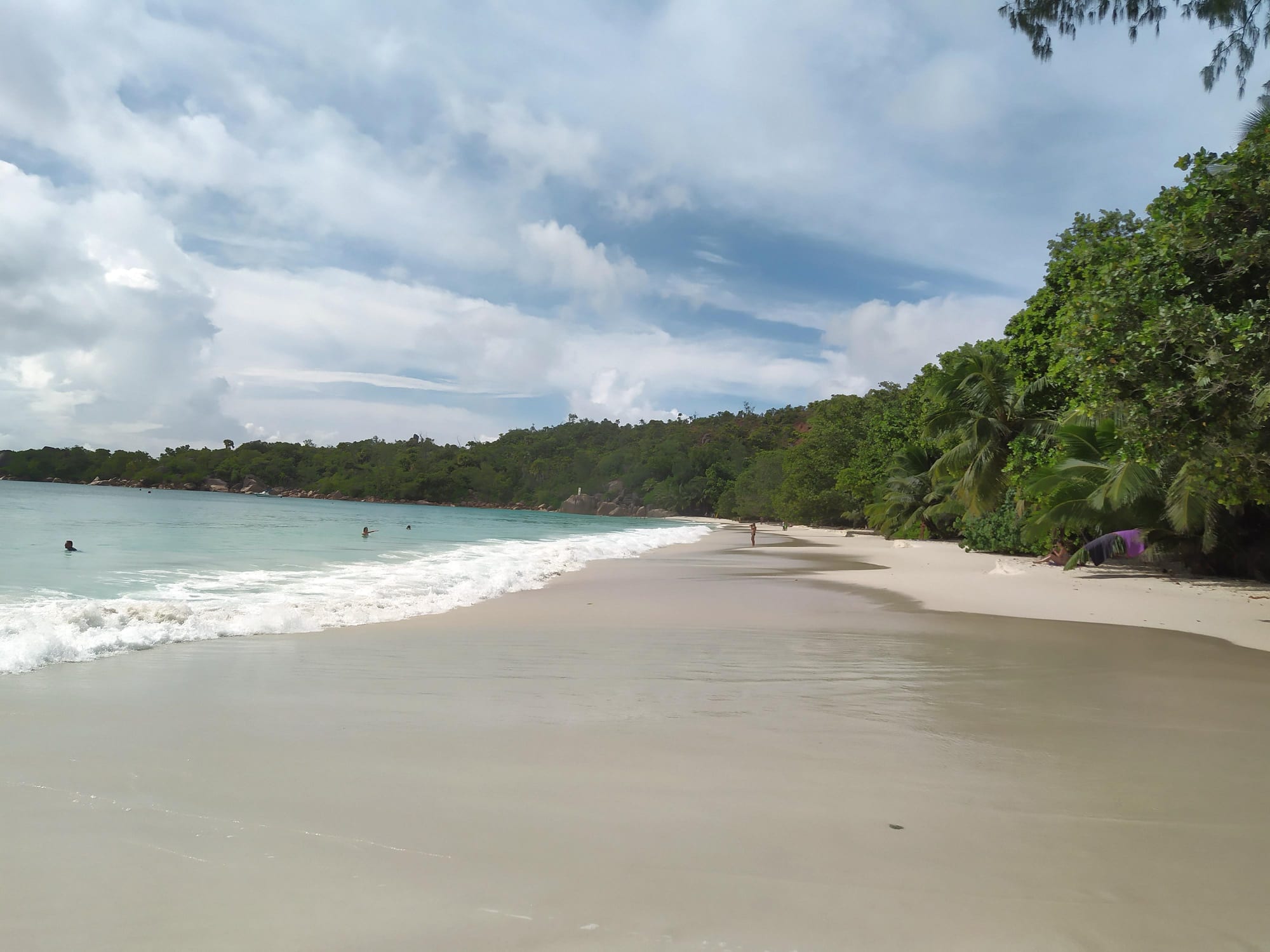 A palm-lined beach with granite boulders and turquoise water