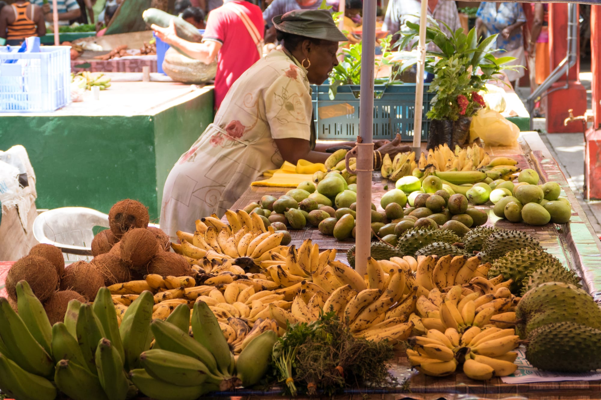 A market vendor arranging bananas, coconuts and mangoes at an outdoor produce stall
