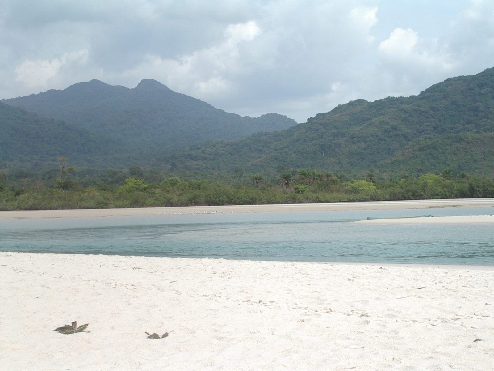 A wide, empty white sand beach backed by palm trees