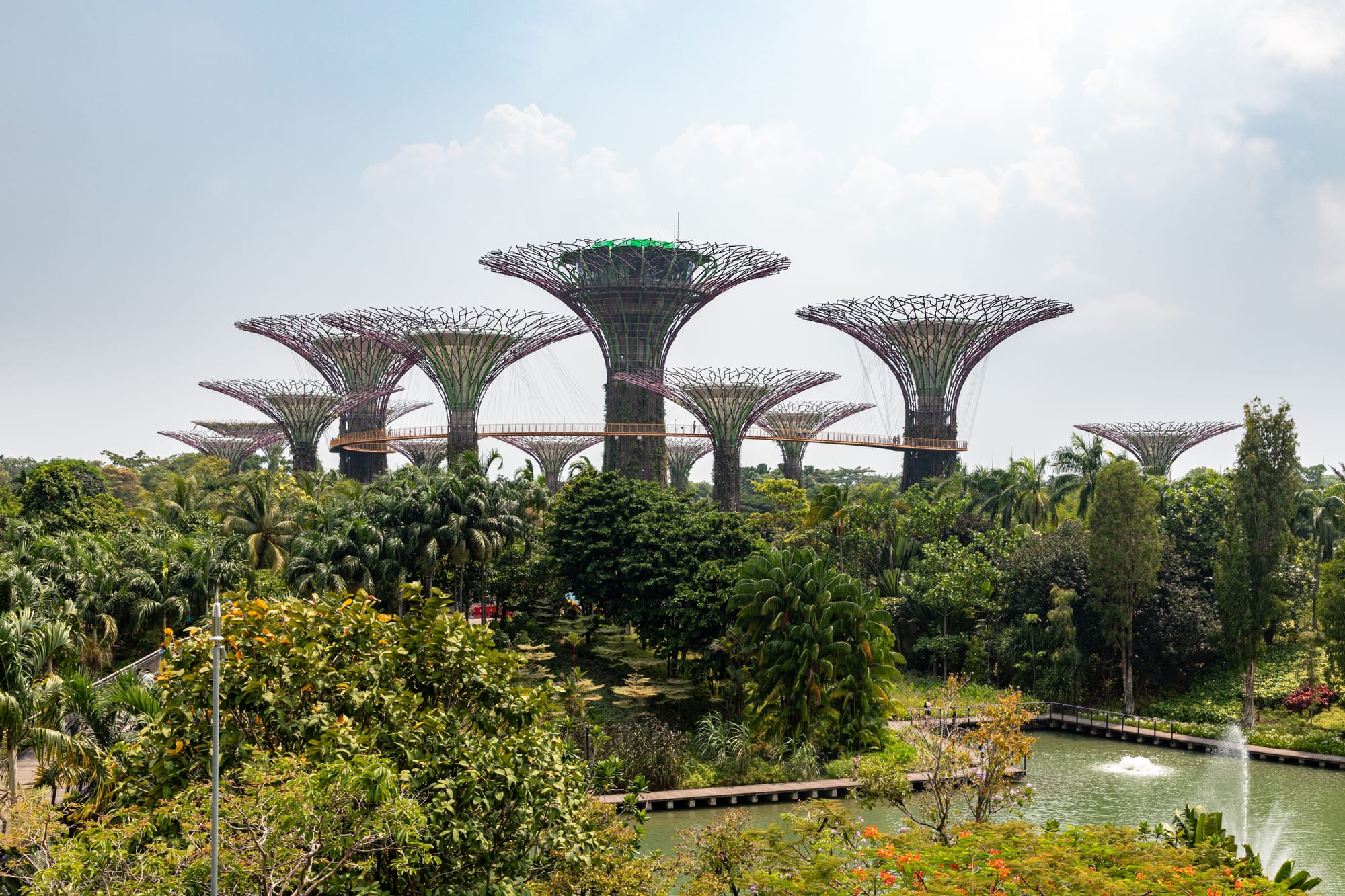 Tall tree-shaped structures with a suspended walkway between them at dusk