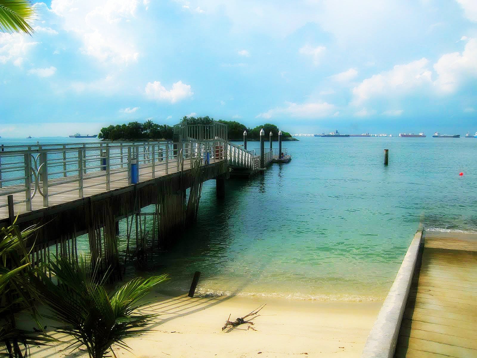 A palm-lined beach with resorts along the shoreline