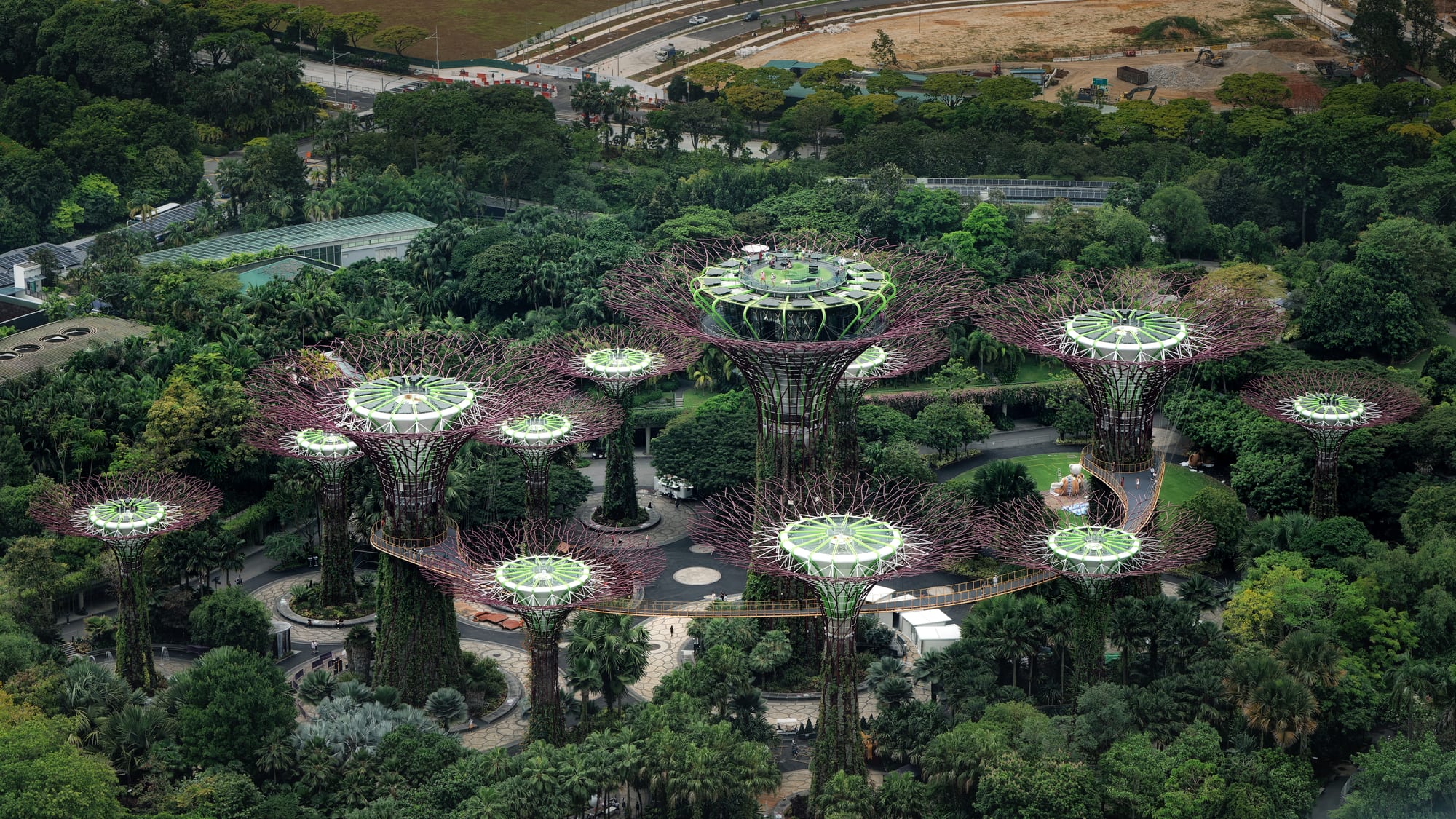 Enormous tree-shaped structures illuminated at night in a garden