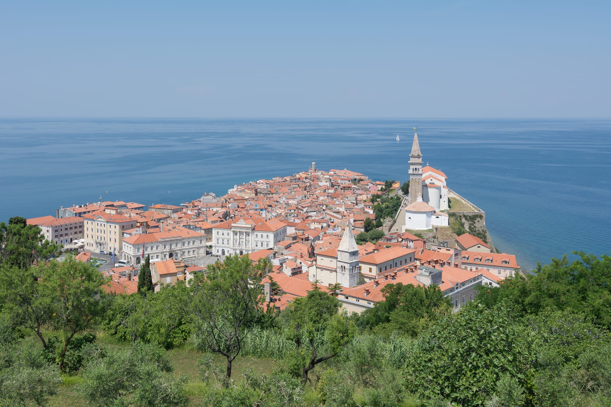 A dense coastal old town with red-tiled roofs along the Adriatic