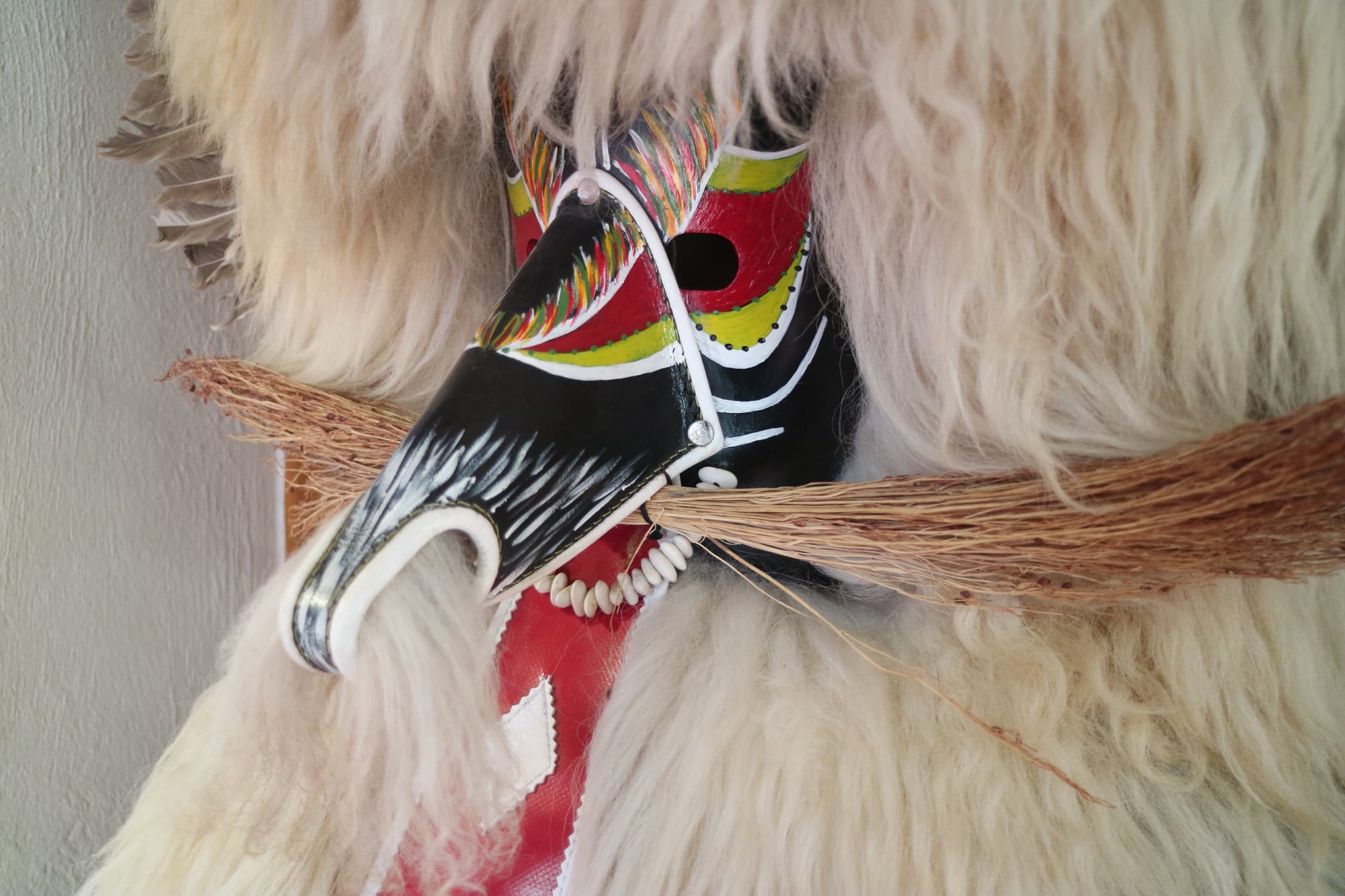 A close-up of a carnival mask with a long black snout, a red, green and white painted face, a row of white bean teeth and bristly whiskers, framed by thick pale sheepskin