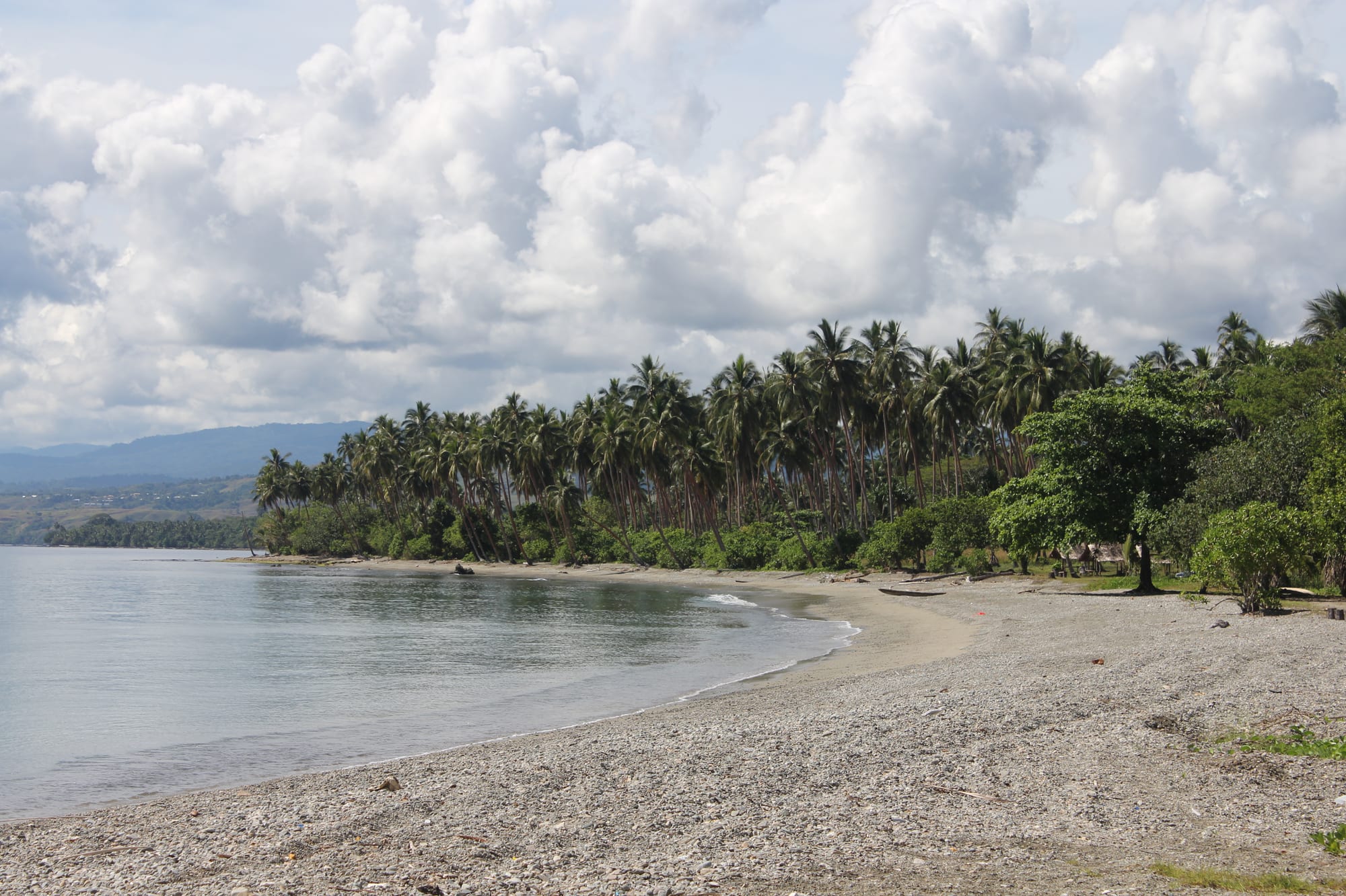 A palm-lined beach curving along calm water beneath a cloud-filled sky