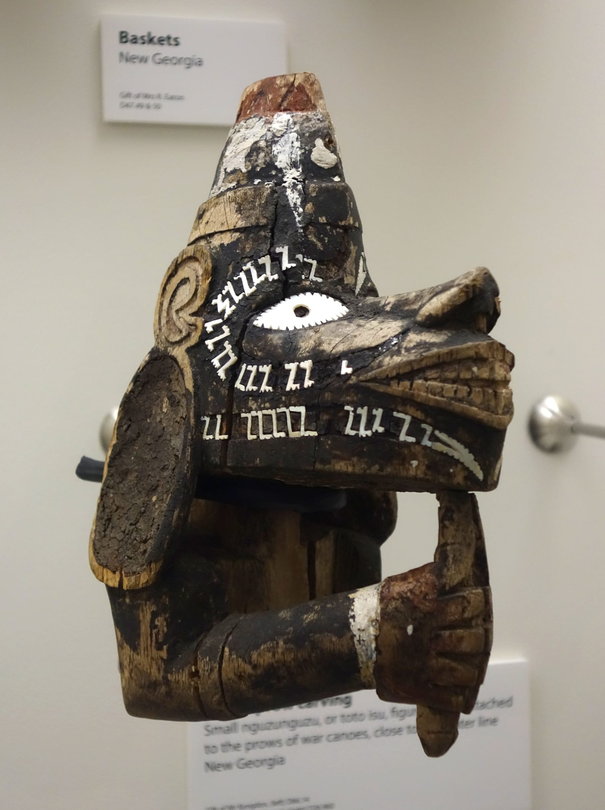 A small carved wooden head and arm, blackened with age, with a jutting jaw, a round inlaid white shell eye and rows of white shell inlay on the face, displayed in a museum case