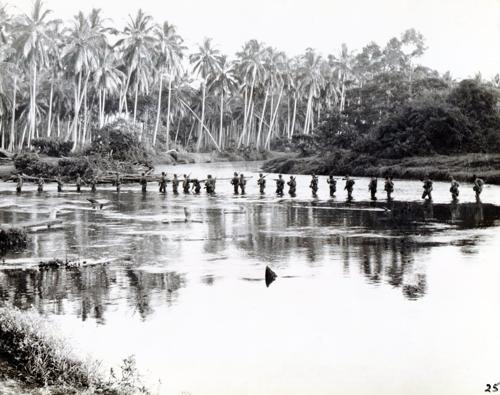 A file of US Marines wading chest-deep across a jungle river, rifles held up, palms towering on both banks