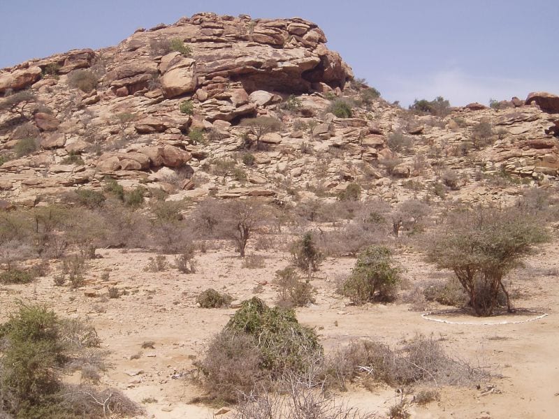 A rocky outcrop with cave openings in an arid landscape