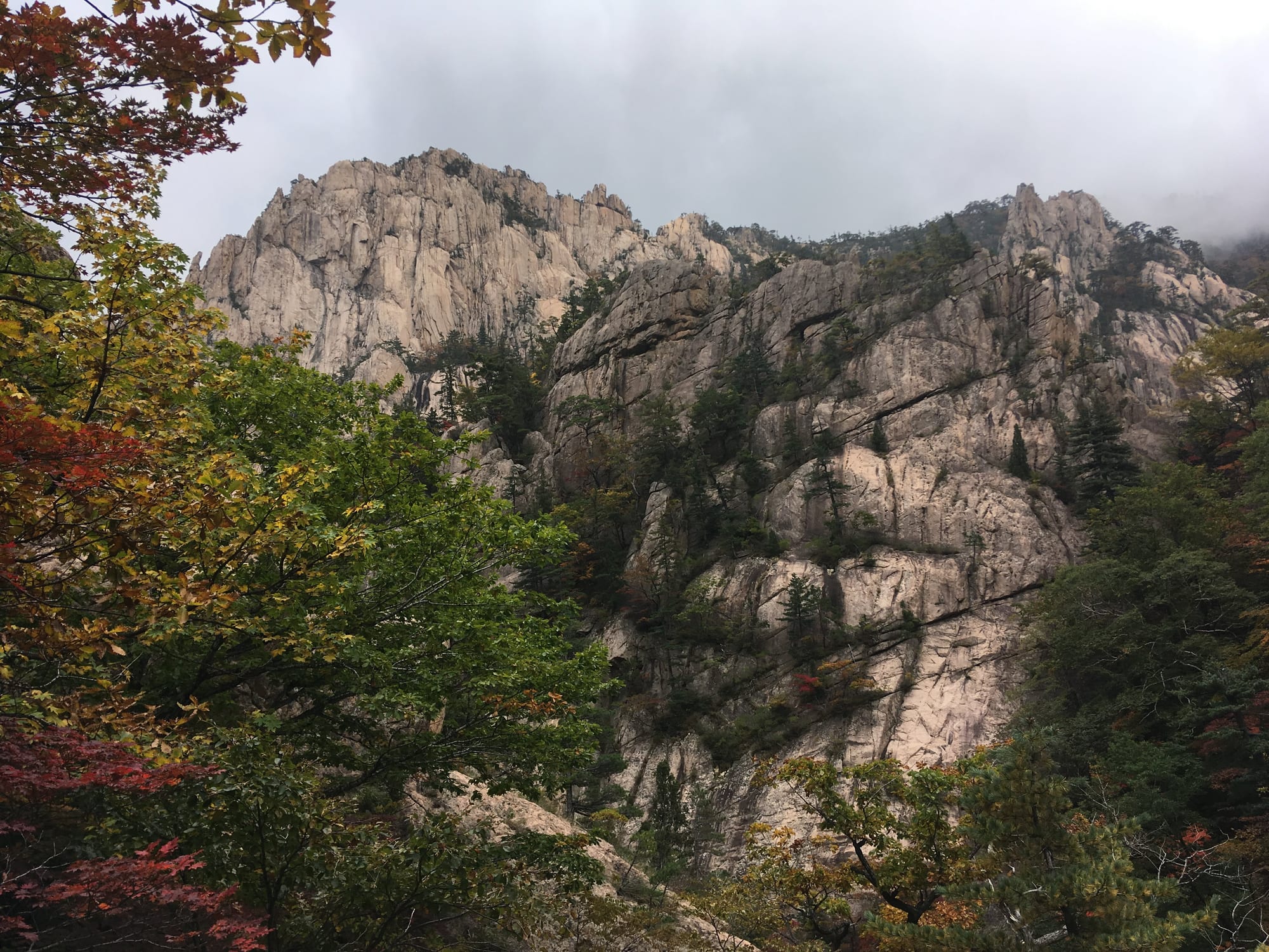 Jagged granite peaks rising above a forest in autumn colour