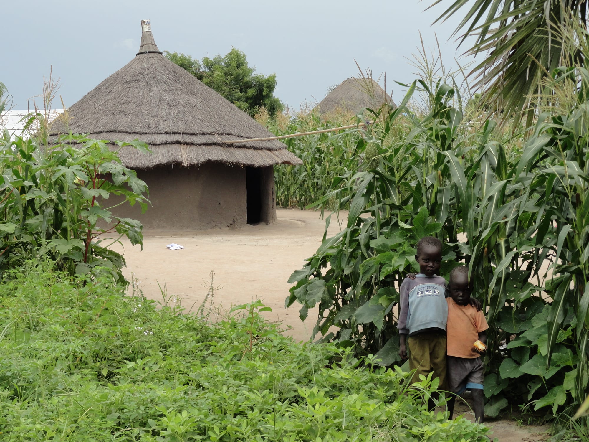 Two children standing beside a round mud hut with a conical thatched roof, surrounded by tall maize and sorghum plants
