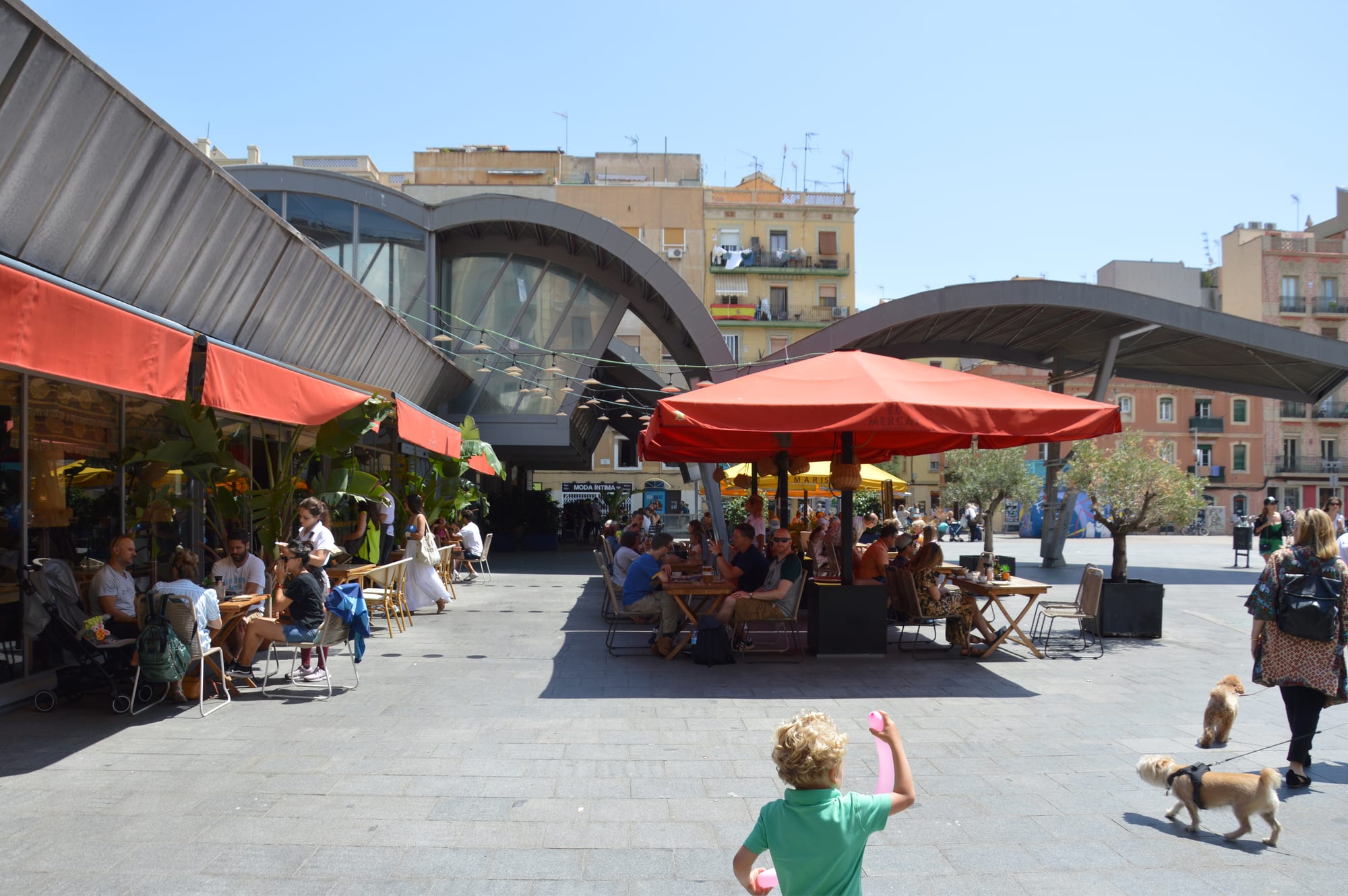 Families and children at outdoor café tables in a sunny market square in Barcelona, with a dog on a lead in the foreground