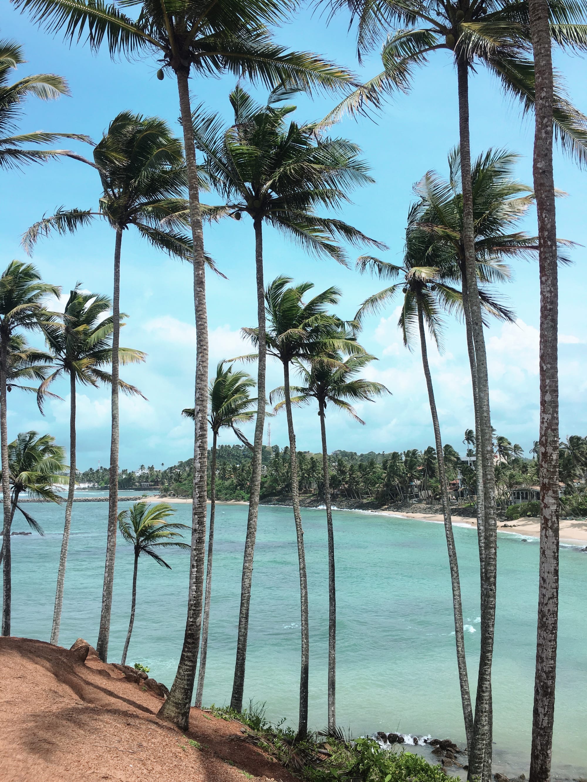 Tall coconut palms framing a turquoise bay and sandy beach